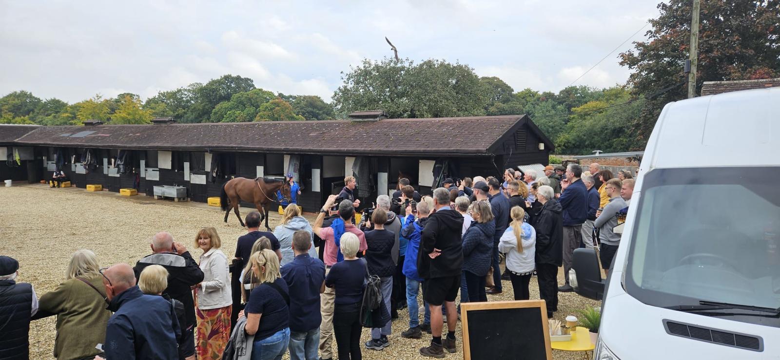 Fantastic start to our autumn stable visits!