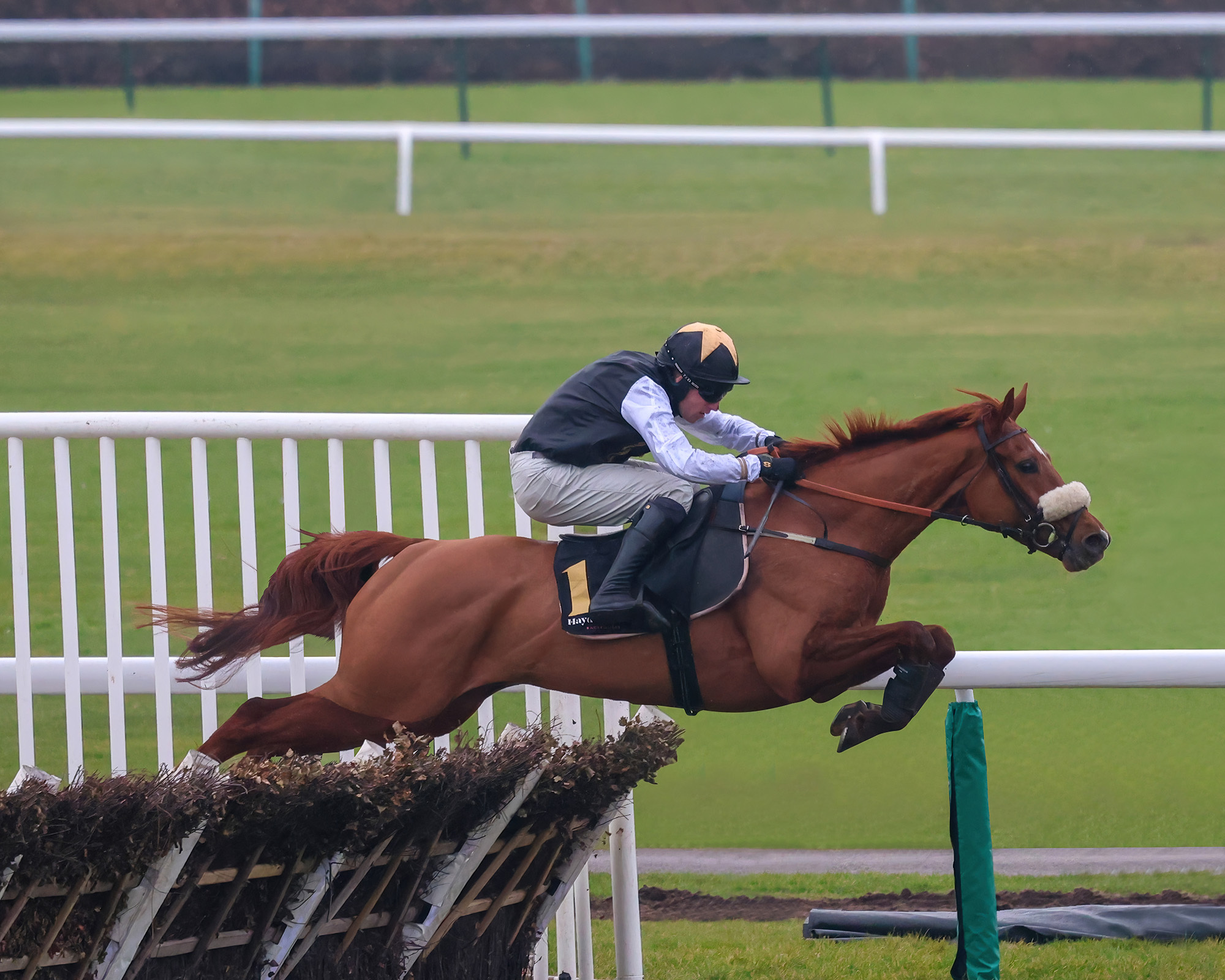 Gibbs Island and Marlacoo start their seasons at Chepstow tomorrow