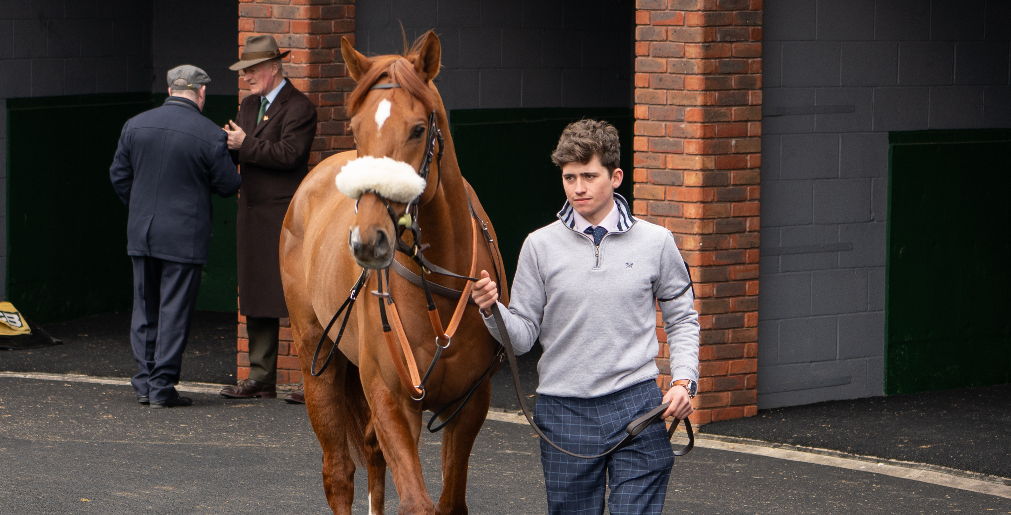 Gibbs Island heading to Aintree's Grand National Meeting