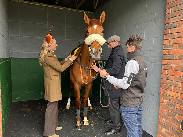 Gibbs Island heads for the County Hurdle at the Cheltenham Festival