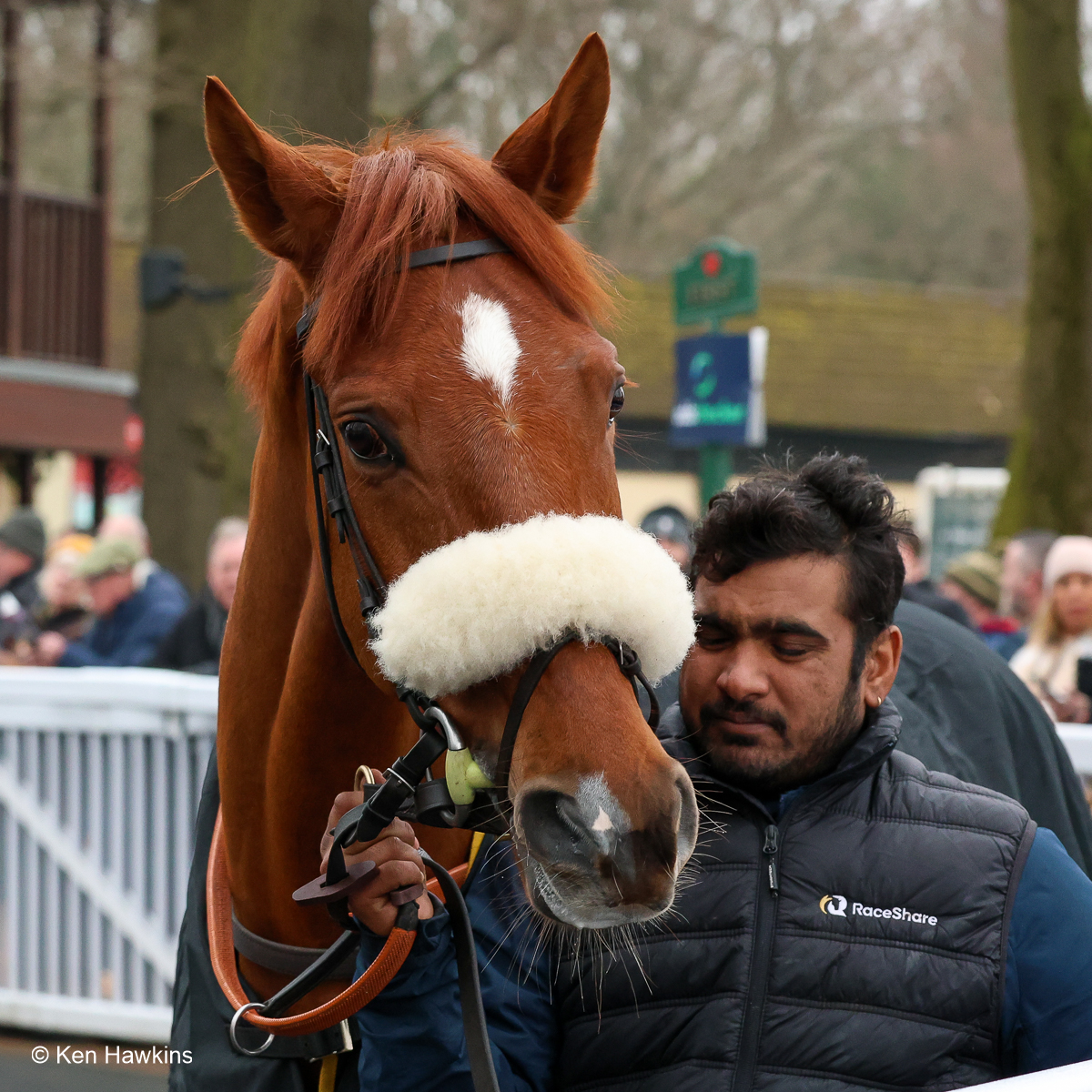 Gibbs Island heads to another Grade 1 at the Grand National meeting