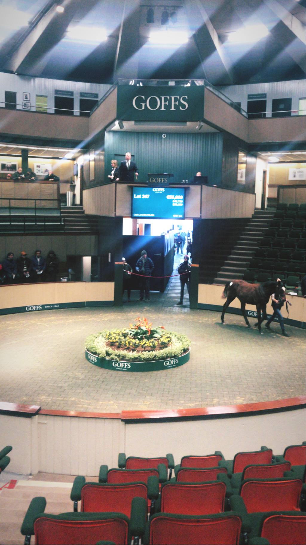 Goffs Orby Sale Brings Some of Europe's Best-Bred Yearlings to Kildare
