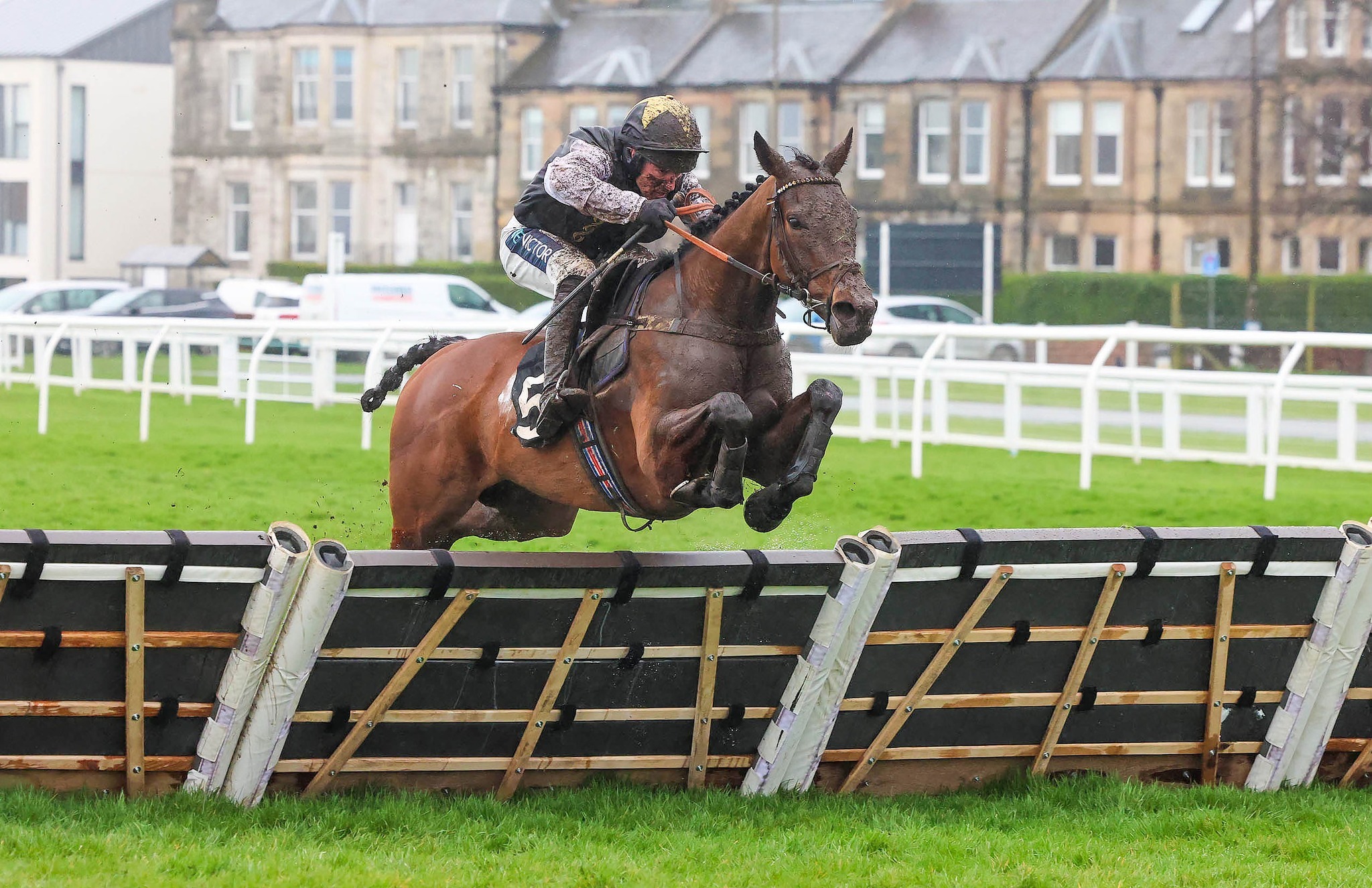 Golden Maverick is back in action