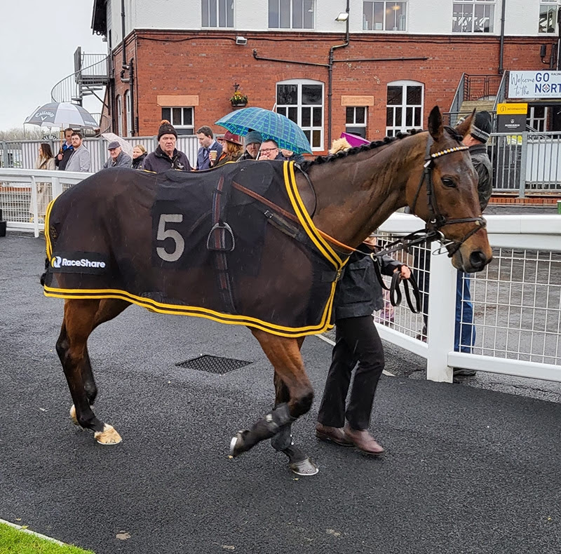 Golden Maverick lands £30k Juvenile Hurdle Final!