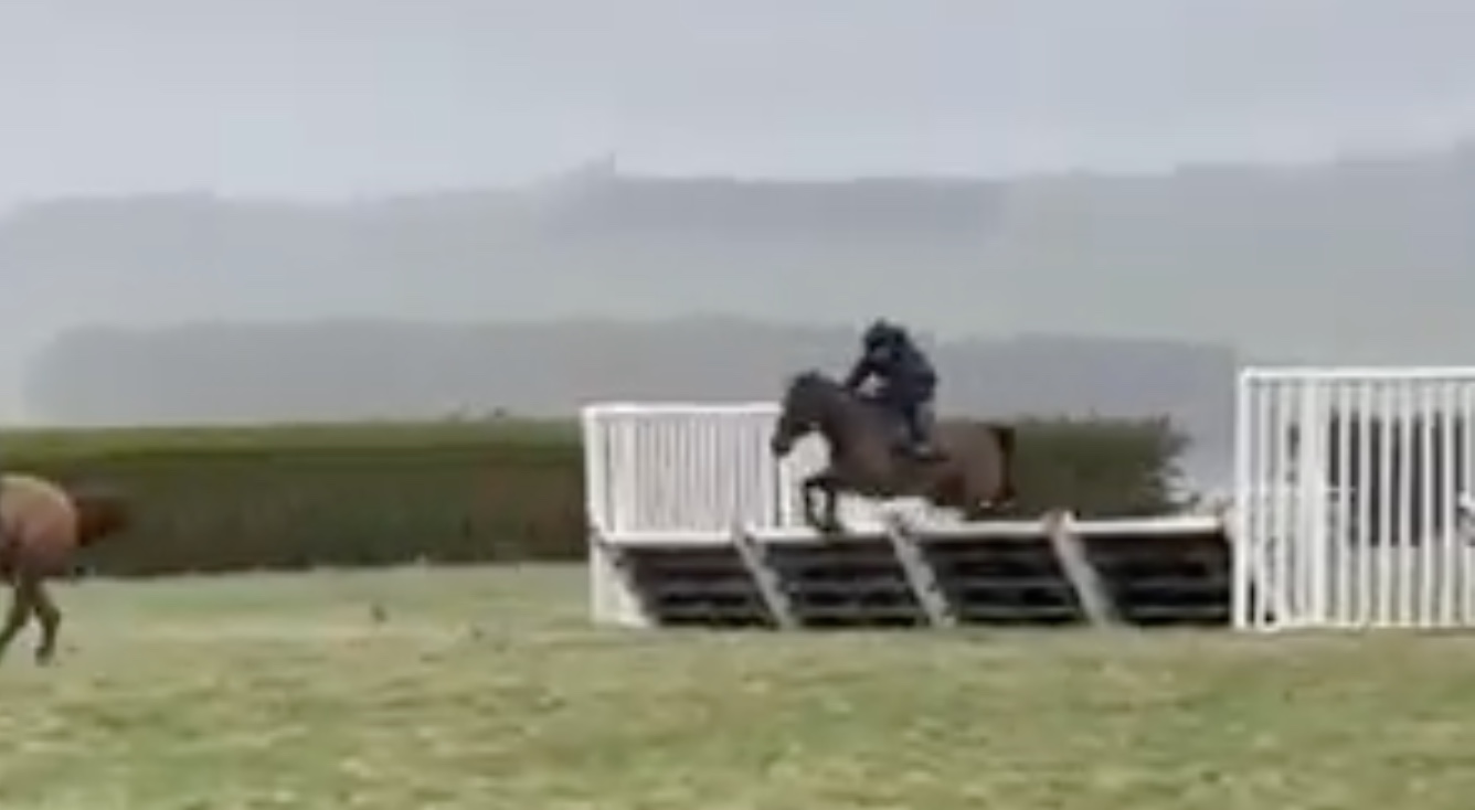 Golden Maverick makes his third start over hurdles