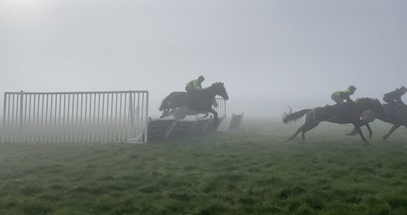 Golden Maverick debuts tomorrow at Catterick