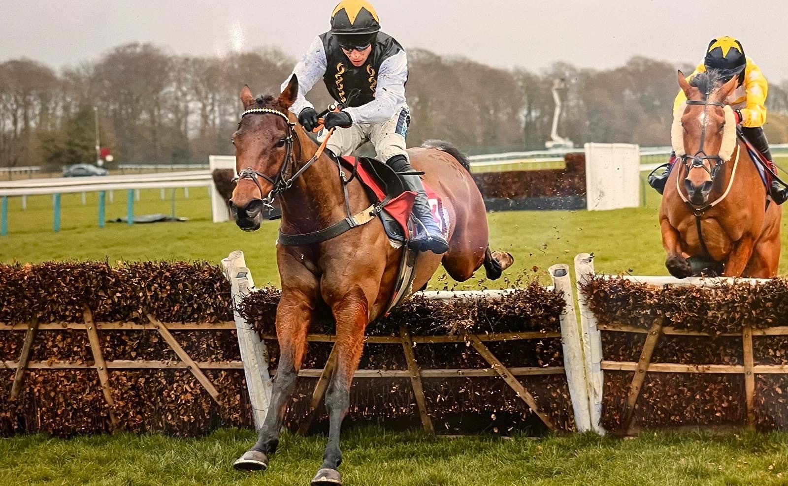 Golden Maverick wins over hurdles!