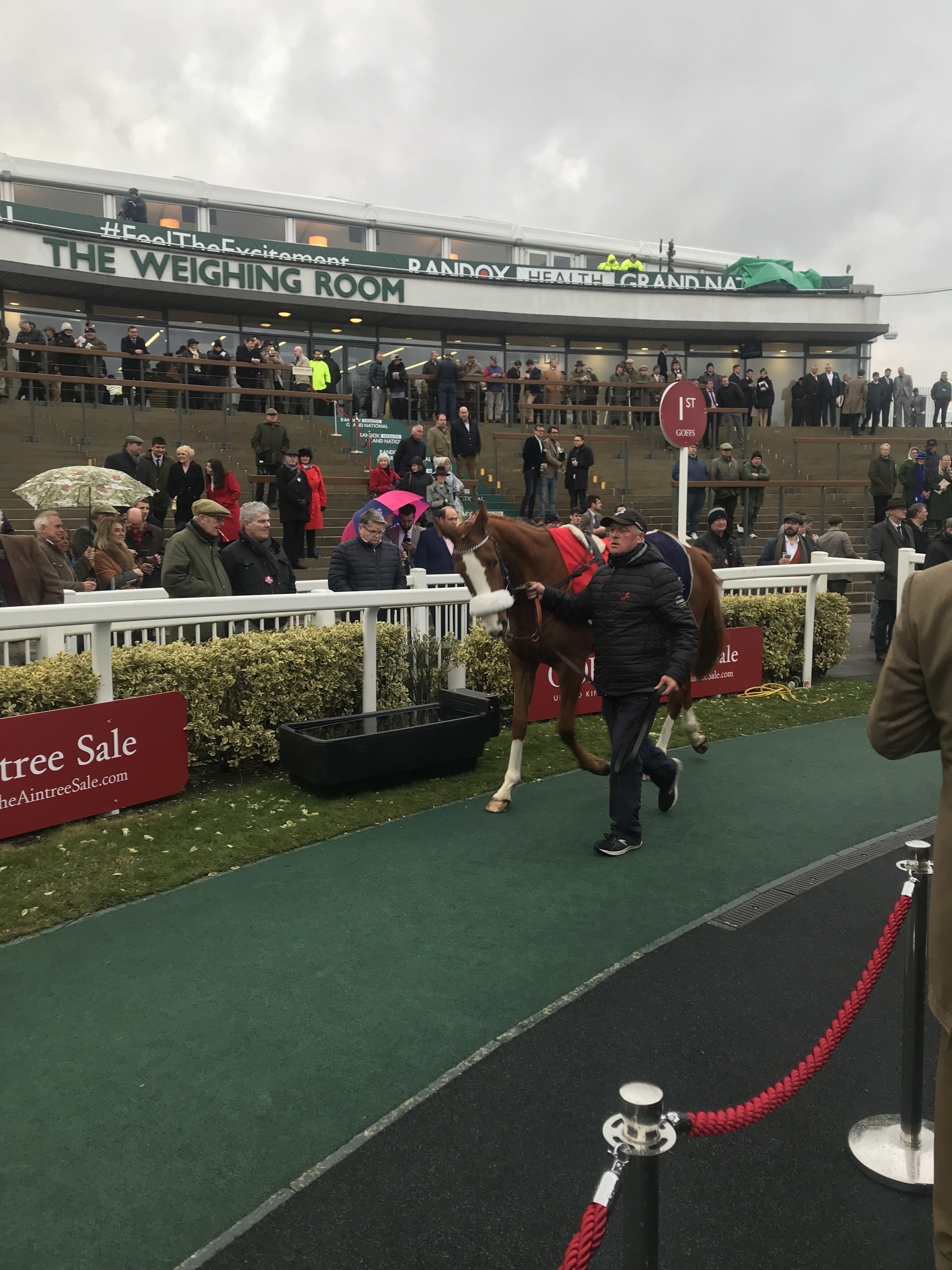 Grand National 2026: A Field of Subtle Hierarchies and Stamina Tests