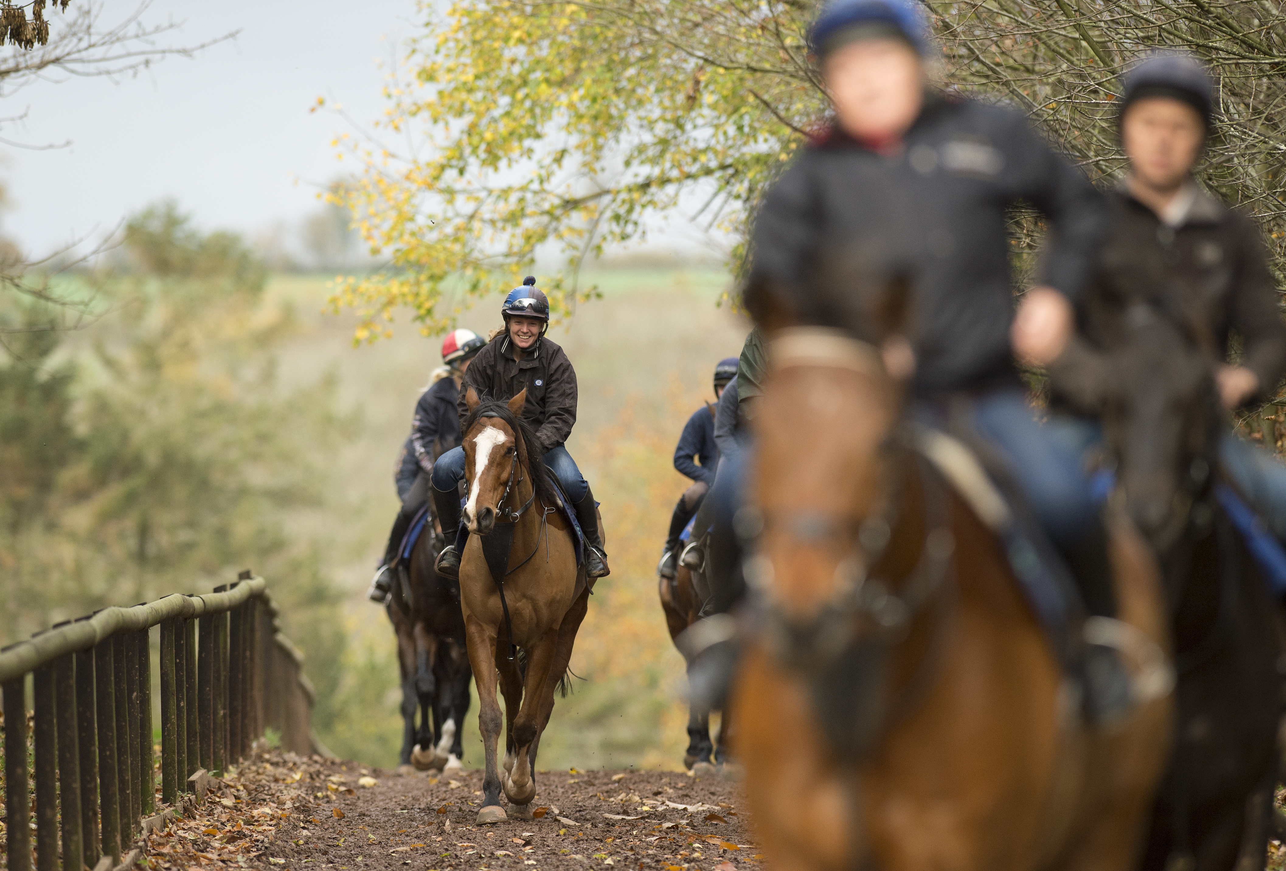 History of the Lockinge Stakes