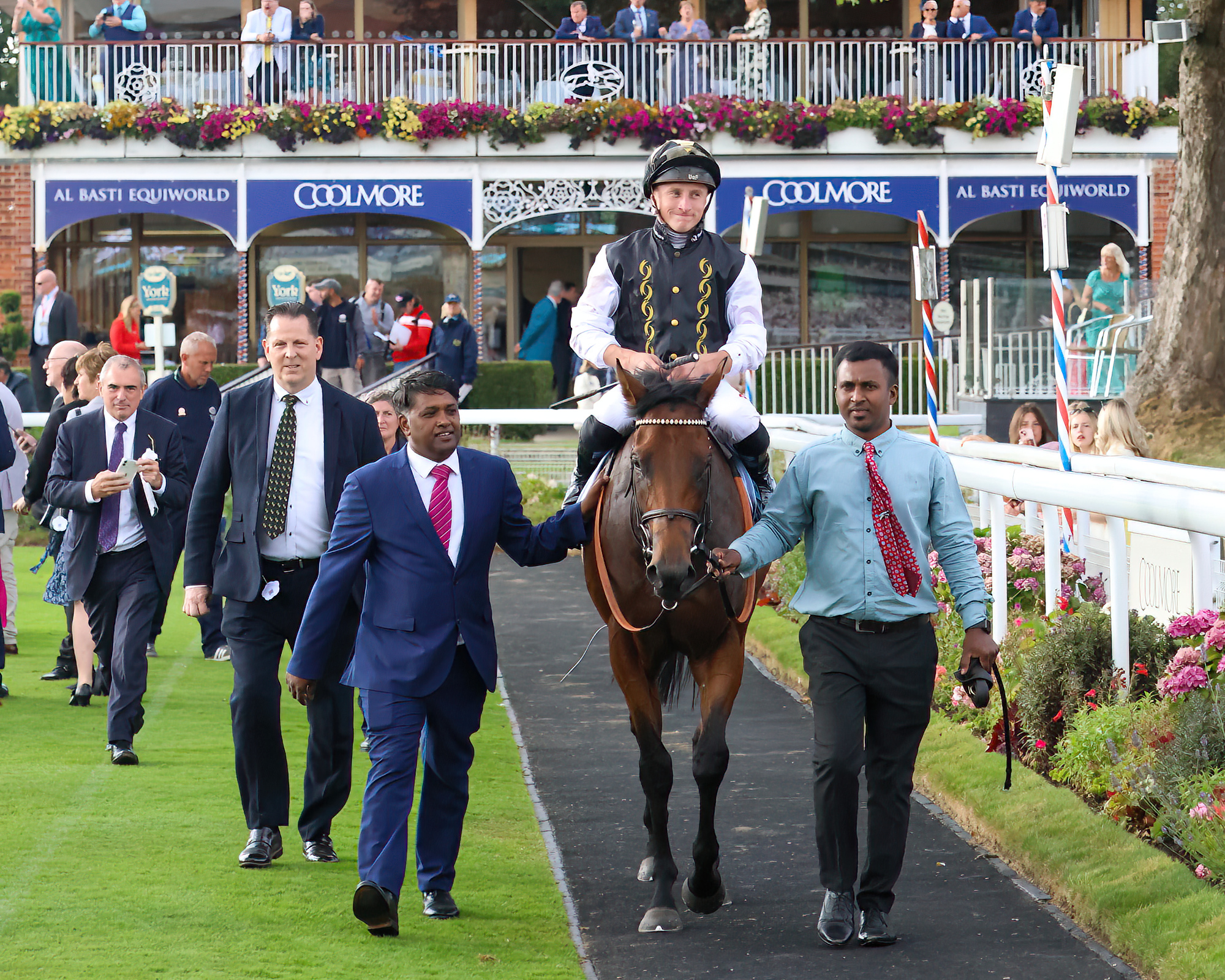 Horse Racing’s Biggest Shocks: When Great Horses Were Beaten