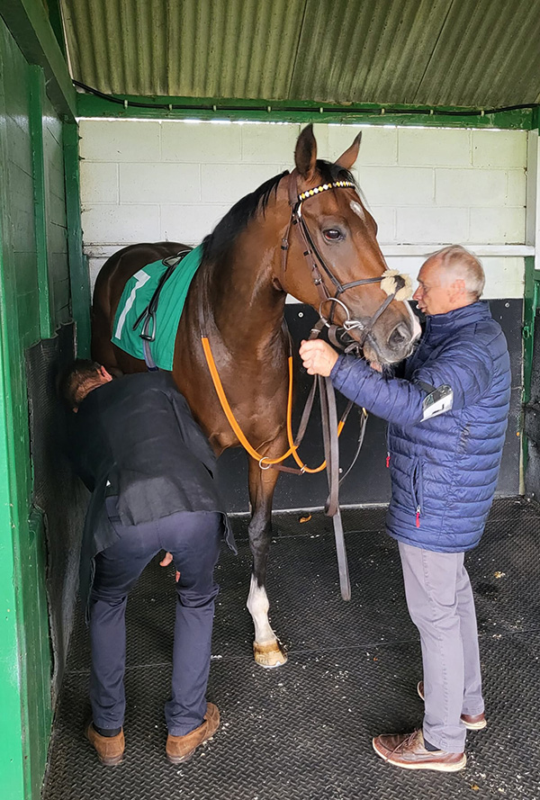 January action begins to unfold!