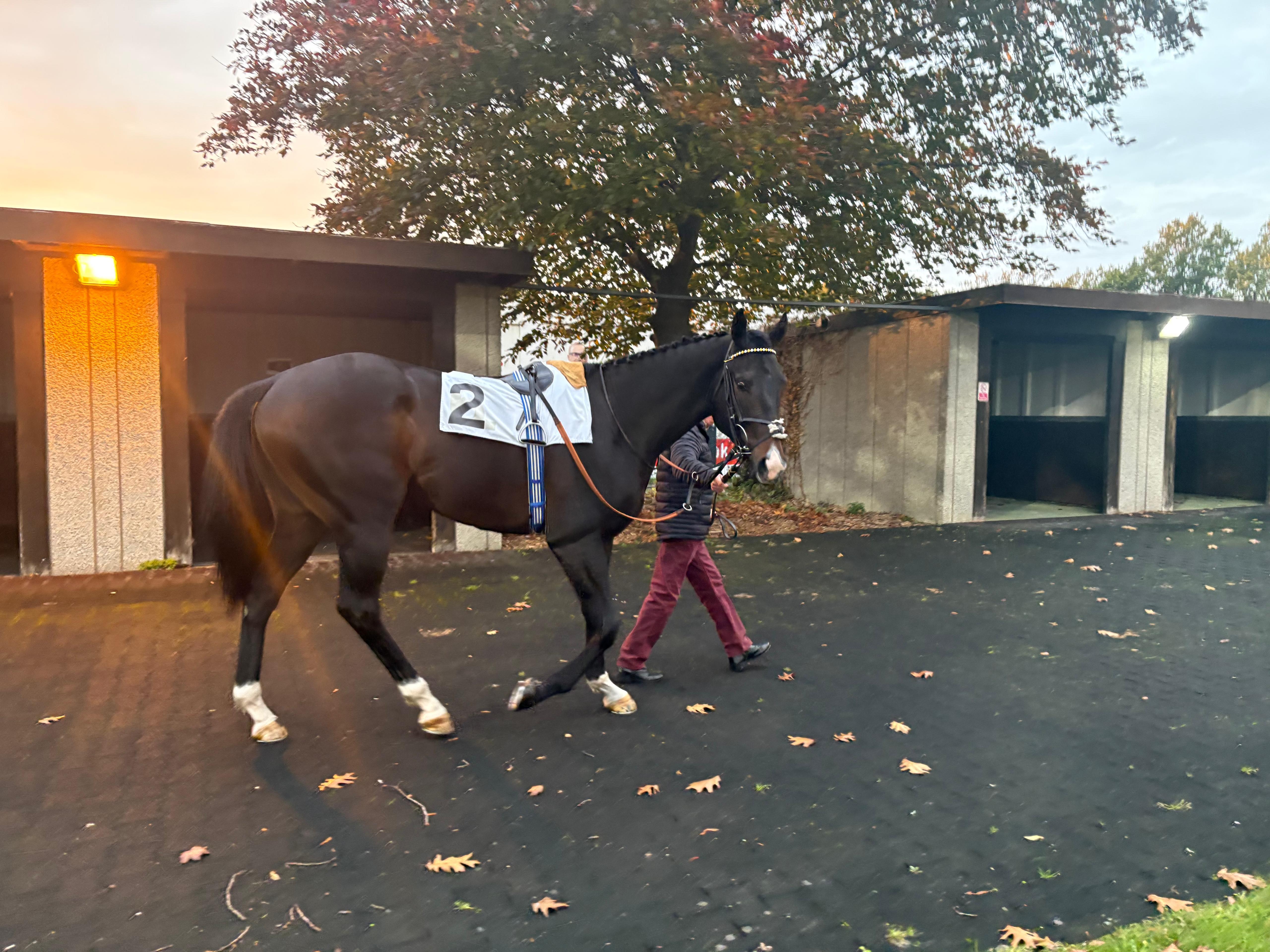 Key weekend tests for RaceShare runners