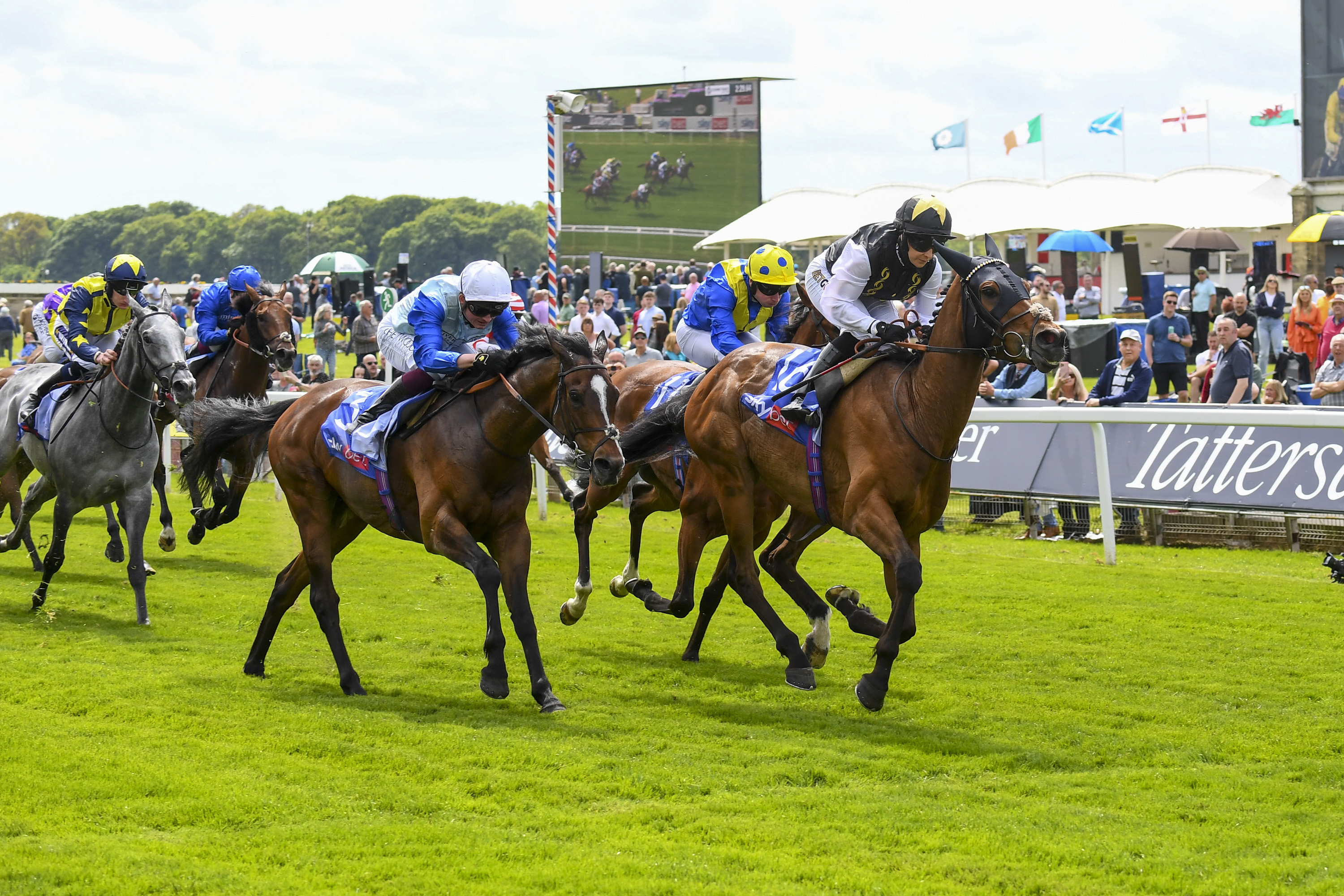 Lingfield Classic Trials 2026: Epsom Clues on an Imperfect Mirror