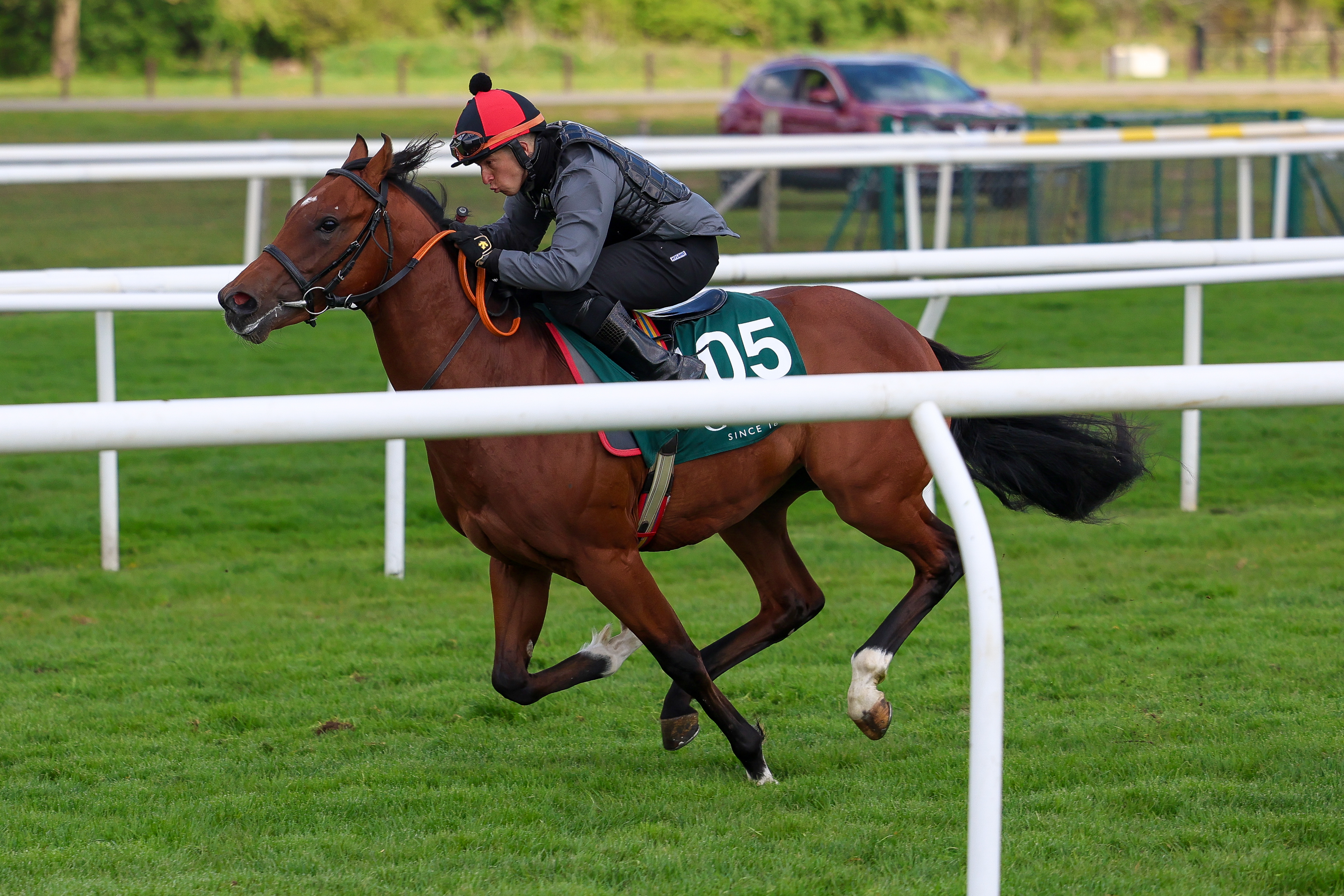 Lucky Manifest & City Of Dreams are next out on the track