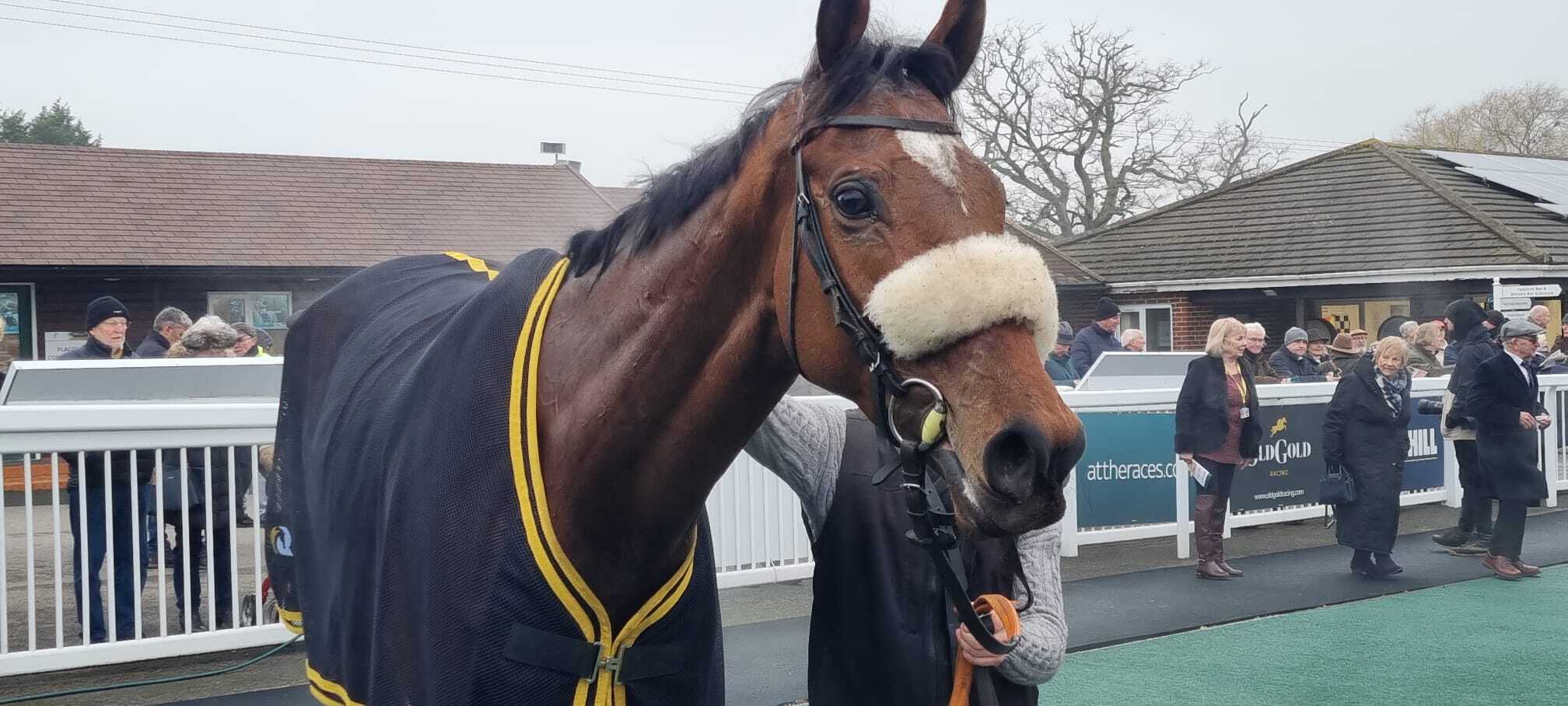 Lucky Manifest is back to form at Plumpton