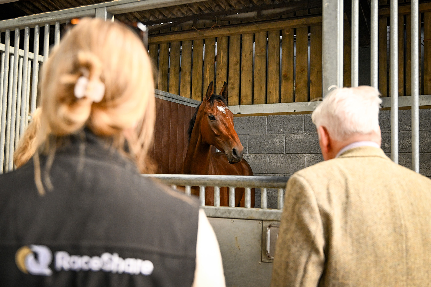 Lucky Manifest makes his RaceShare debut