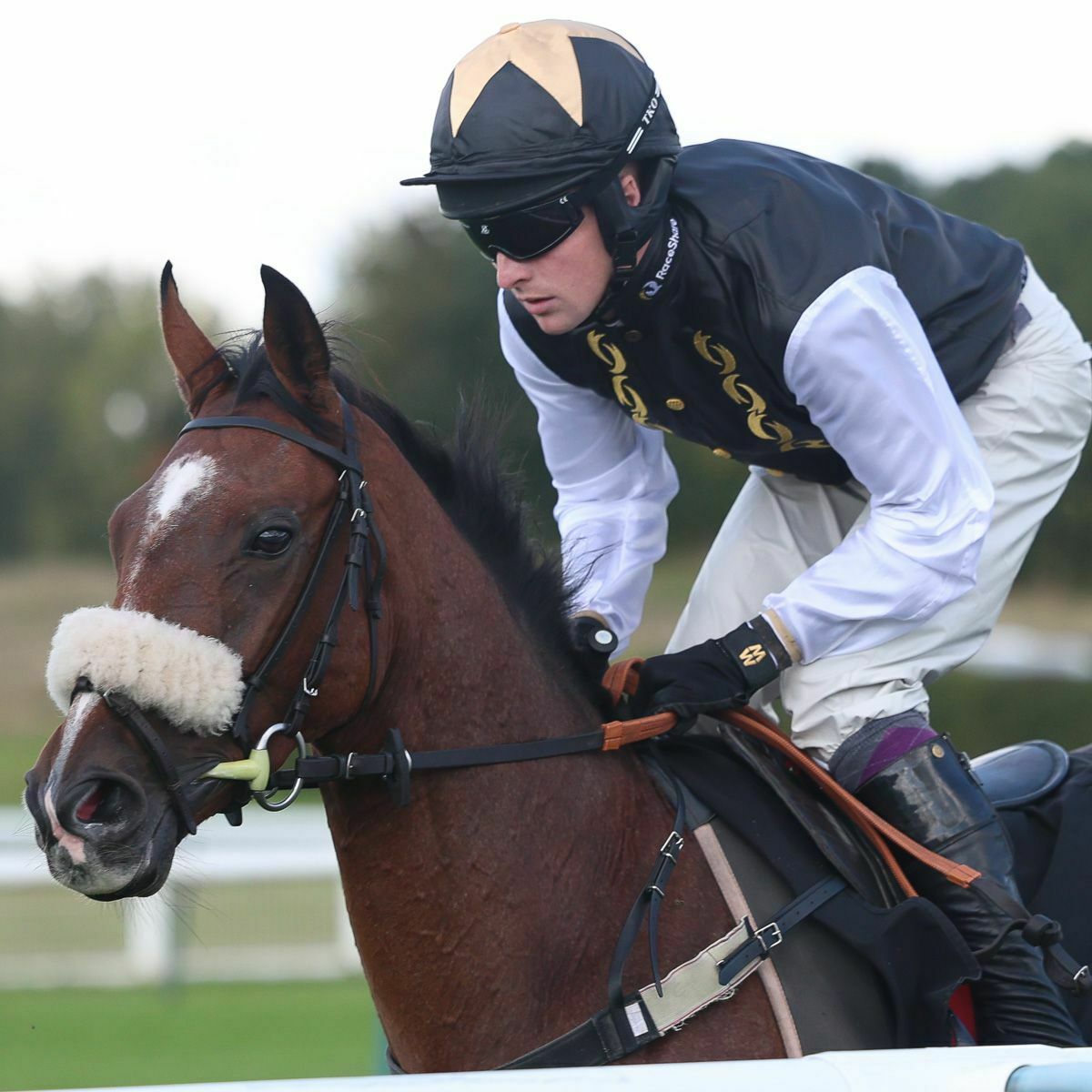 Marlacoo heads to Wetherby on Boxing Day!