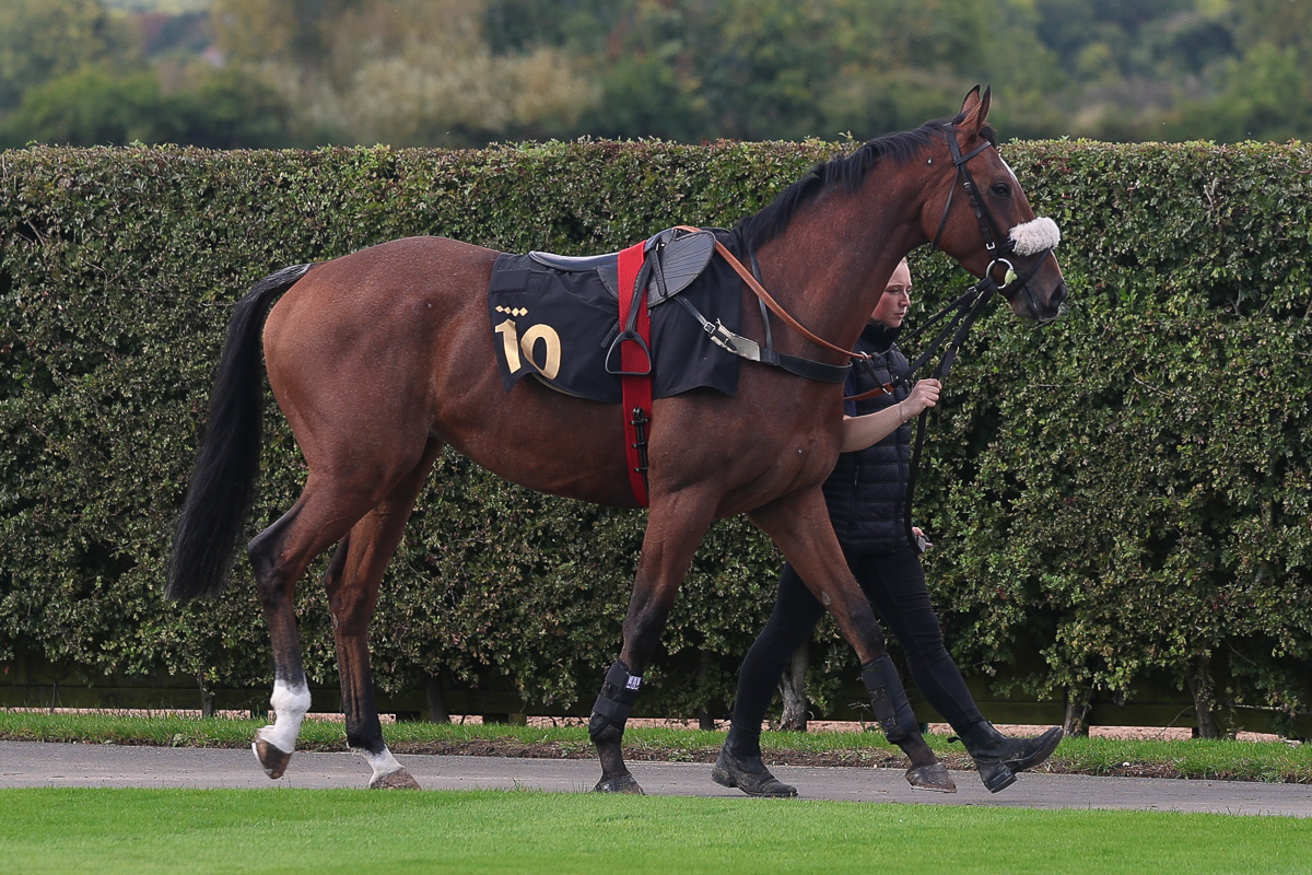 Marlacoo makes a highly promising debut for RaceShare!