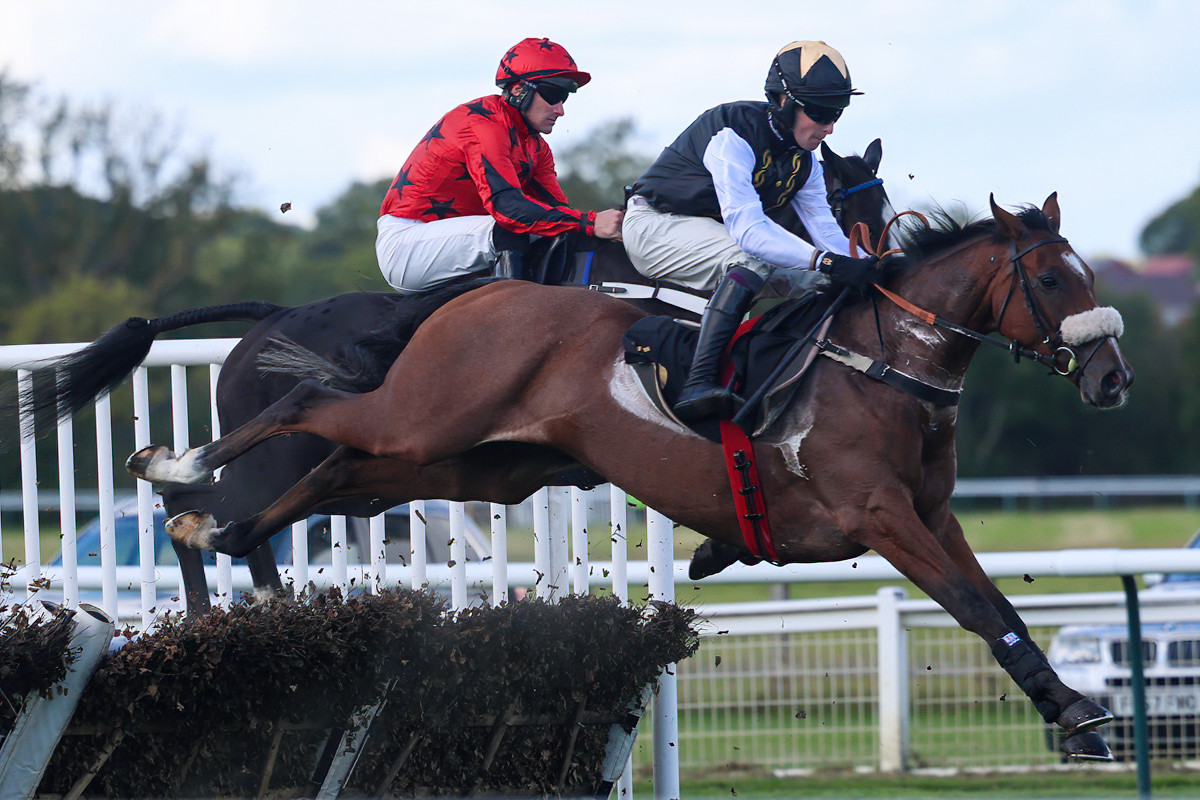 Marlacoo makes a highly promising debut for RaceShare!