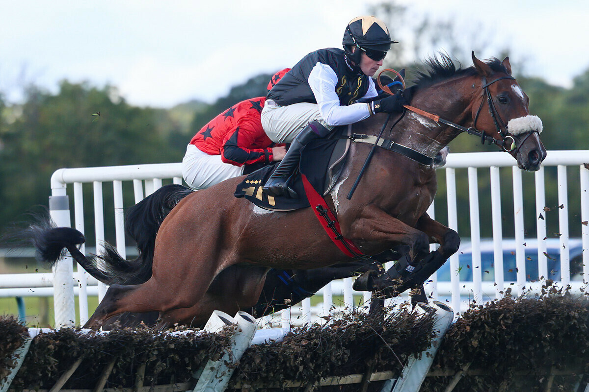 Marlacoo makes a highly promising debut for RaceShare!