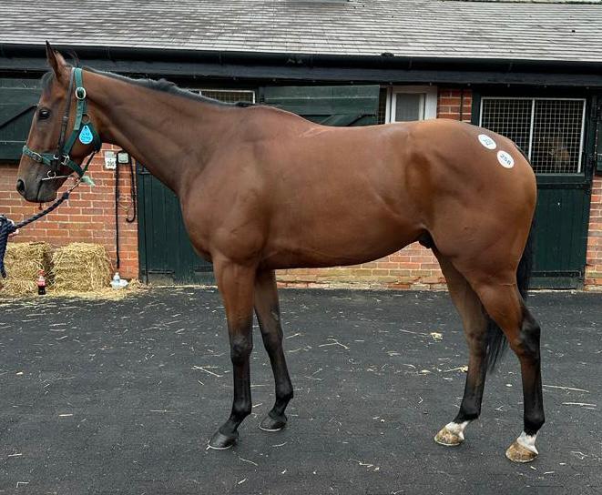 New additions to the squad!