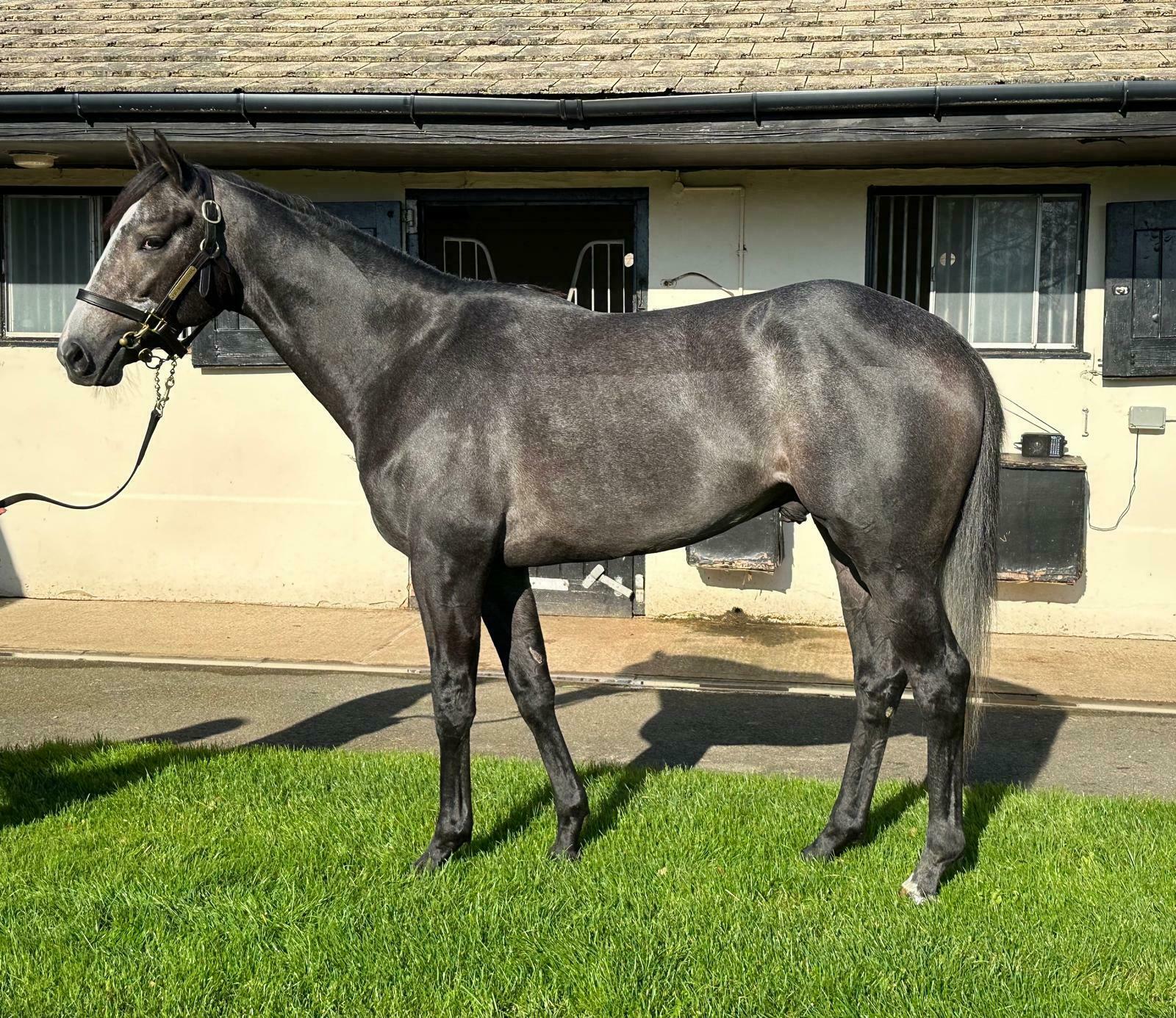 New RaceShare100 Recruits!