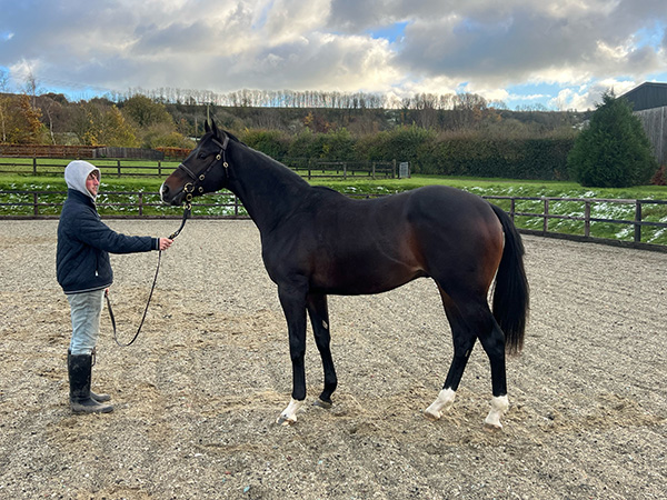 Our colt is named….Breathe Easy