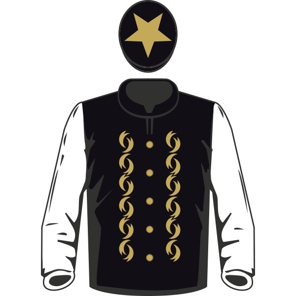 Racehorse Silks - The Colours Our Horses Wear!
