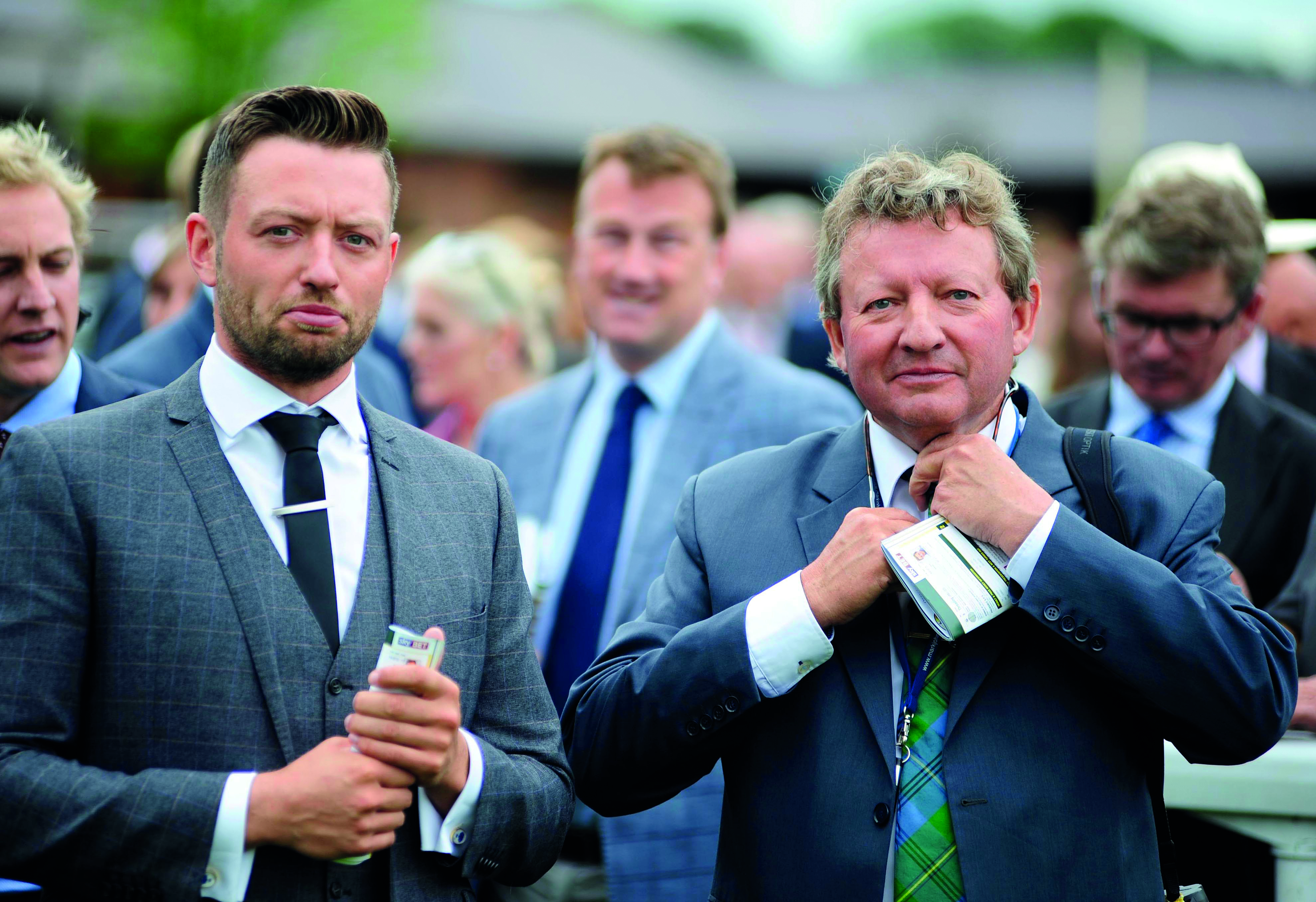 Racehorse veterinary care