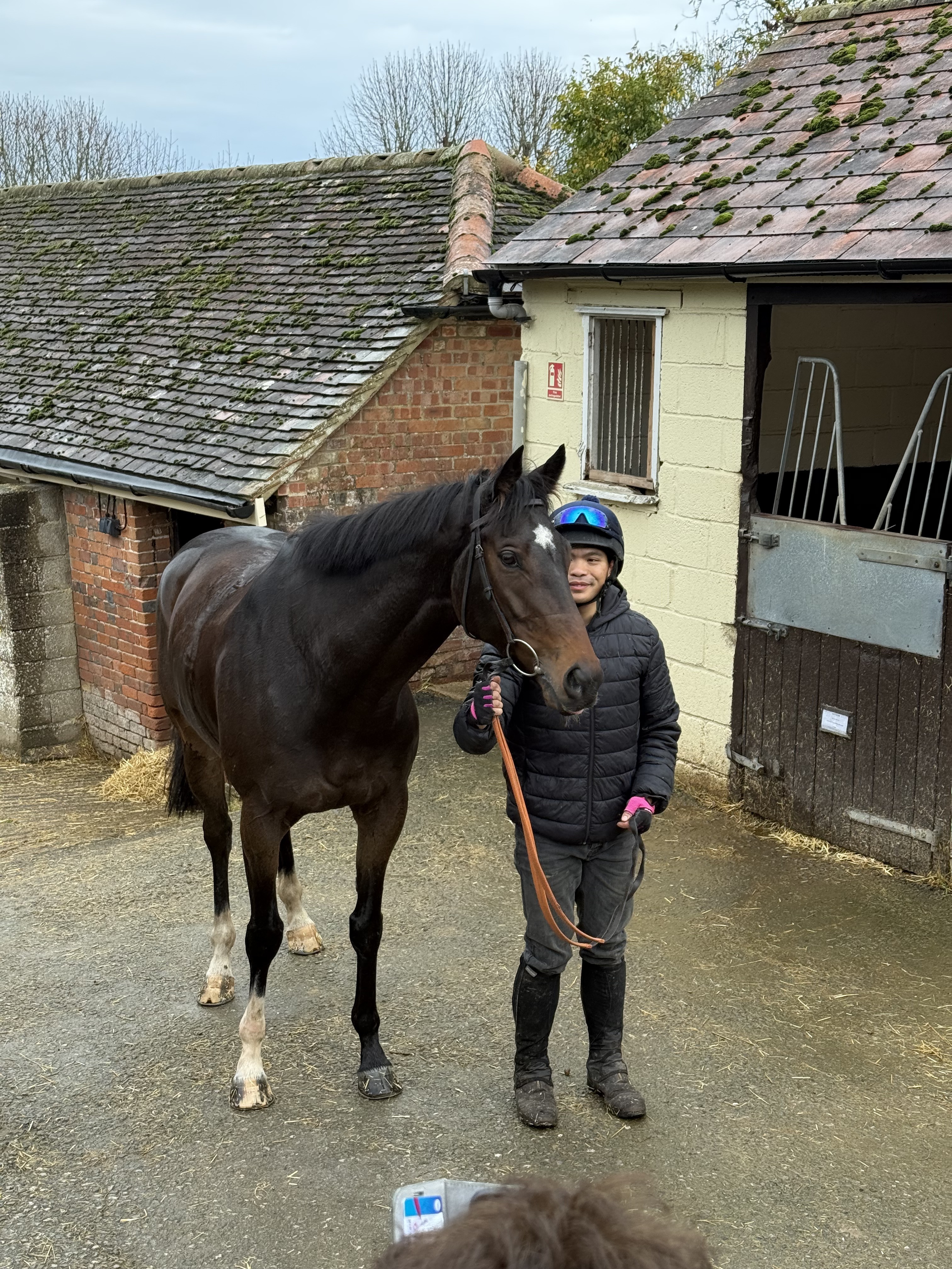 RaceShare gears up for a triple bill on Thursday, headed by racecourse debut for City Of Dreams