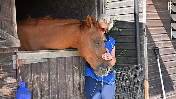 RaceShare’s ex-racehorse enjoying a jolly second career