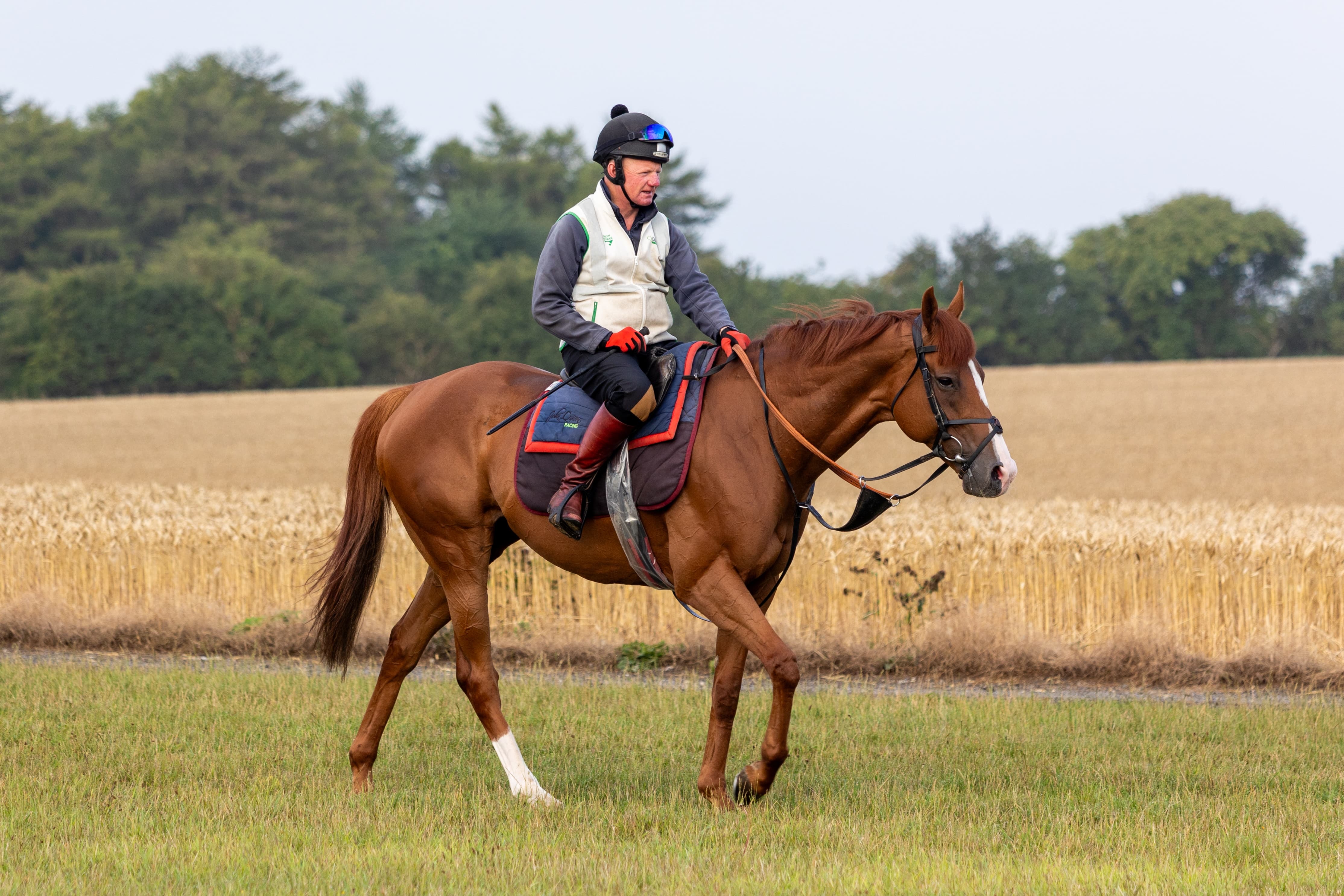 Red Mirage bids to go back-to-back