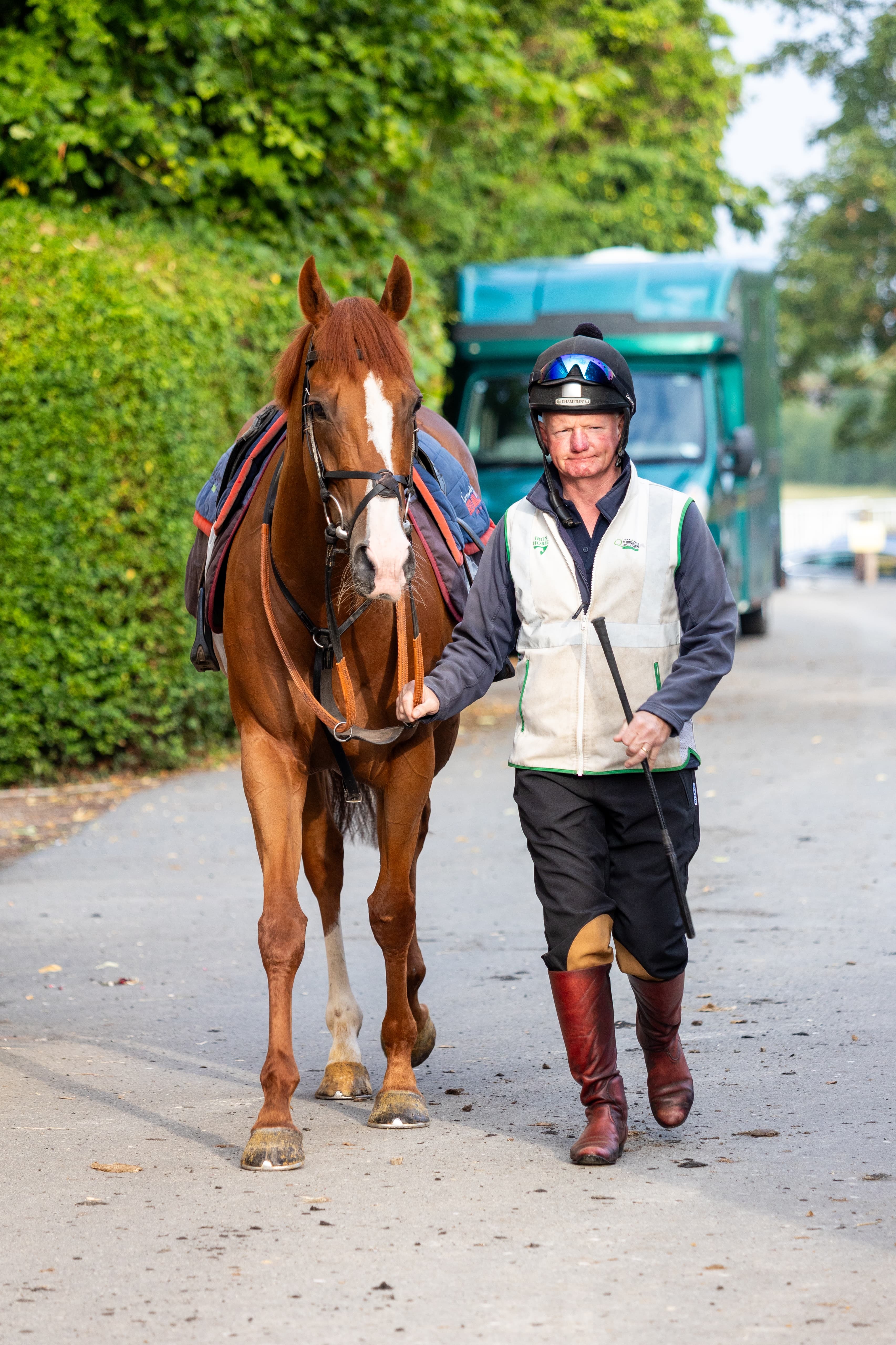 Red Mirage bids to go back-to-back