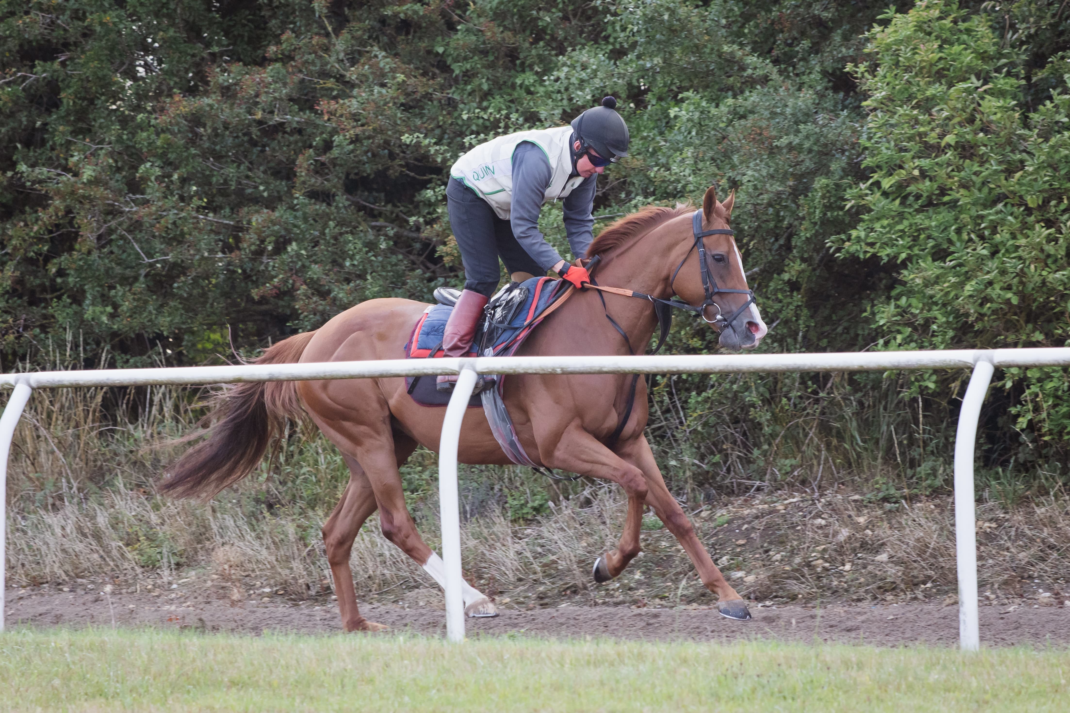 Red Mirage bids to go back-to-back