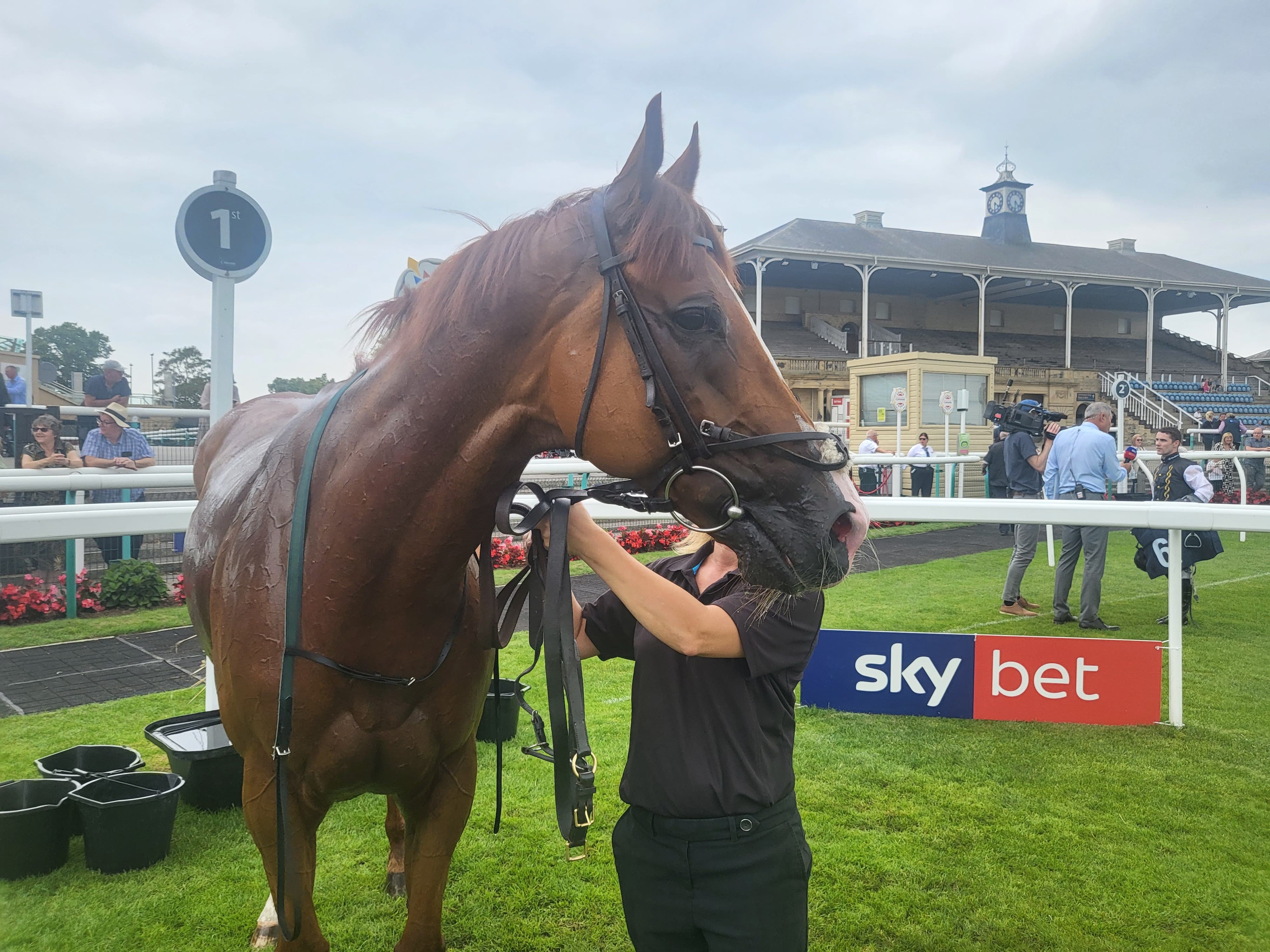 Red Mirage delights his owners with a thrilling Doncaster win