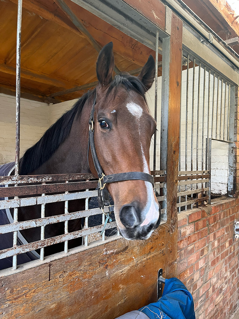 Robusto & Lir Speciale get set to line up during a scorching week of weather!