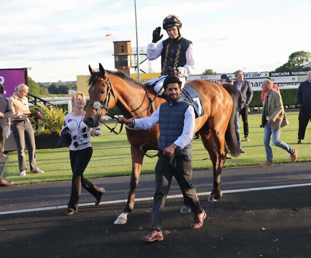 Robusto makes a return to the turf tonight