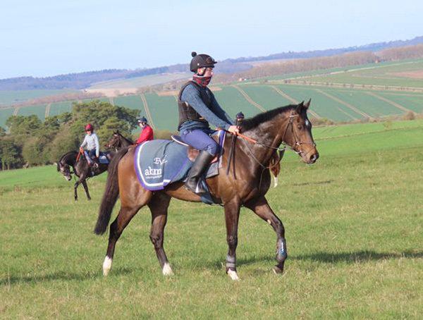 A memorable weekend for owners with Yes I'm Mali & Robusto victorious