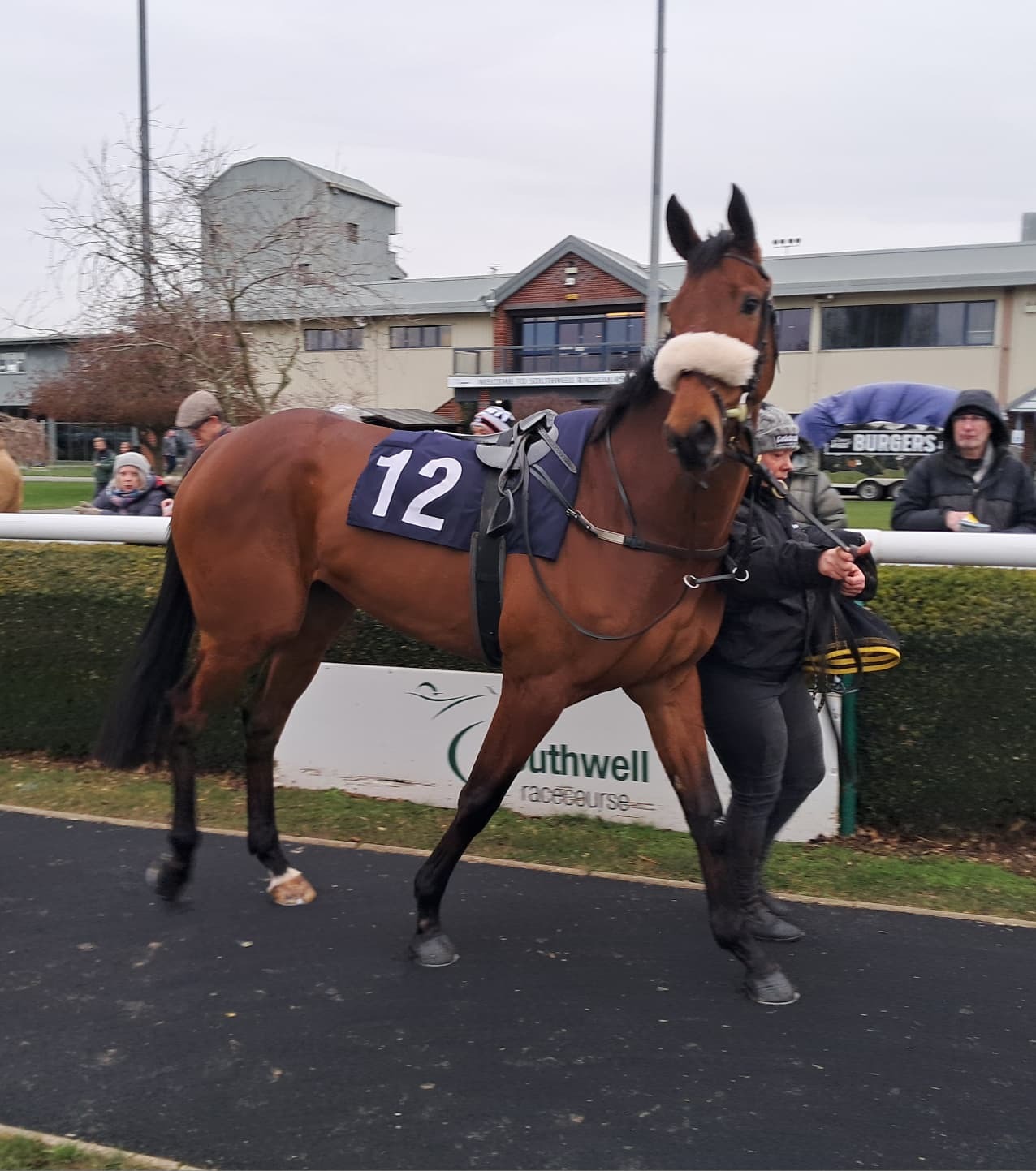 Sea Tempest makes a tremendous start to his racing career