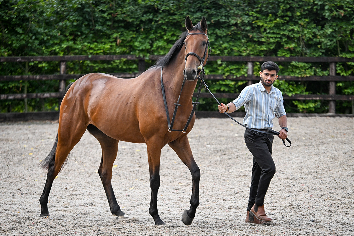Sea Tempest makes his second start