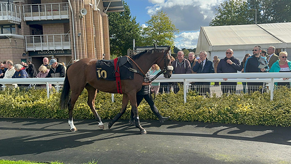 Spaceport makes his hurdles debut for RaceShare100!