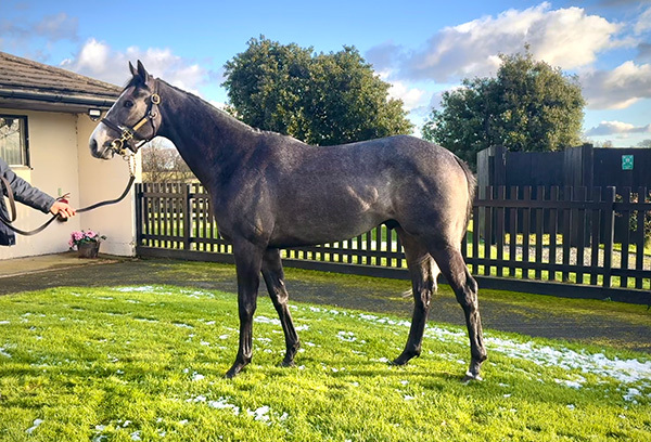 Spaceport returns from an absence