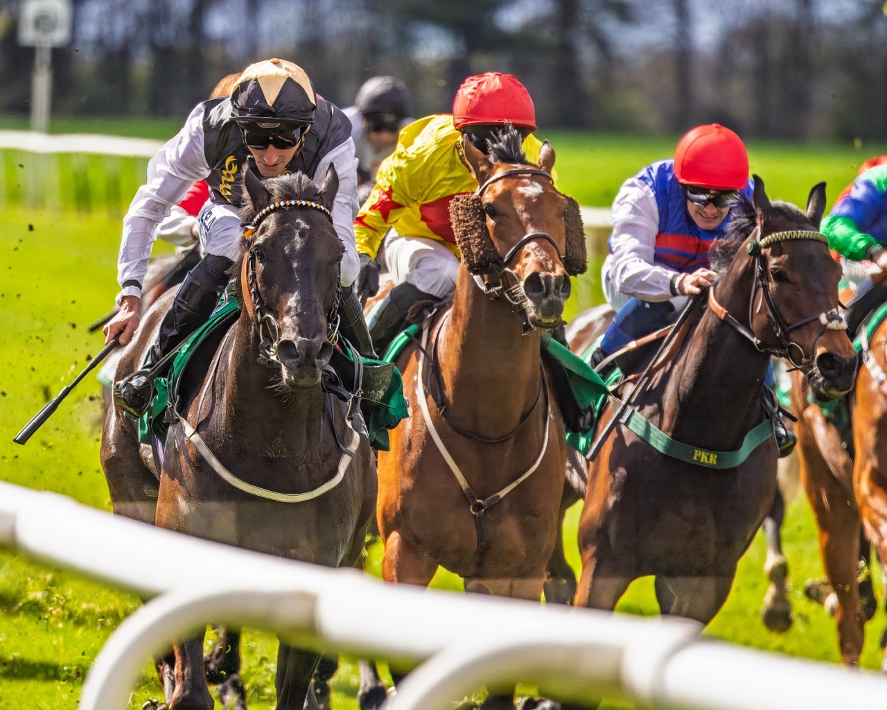 Stewards' Cup 2026: Sprint Handicap Specialists Assemble at Goodwood