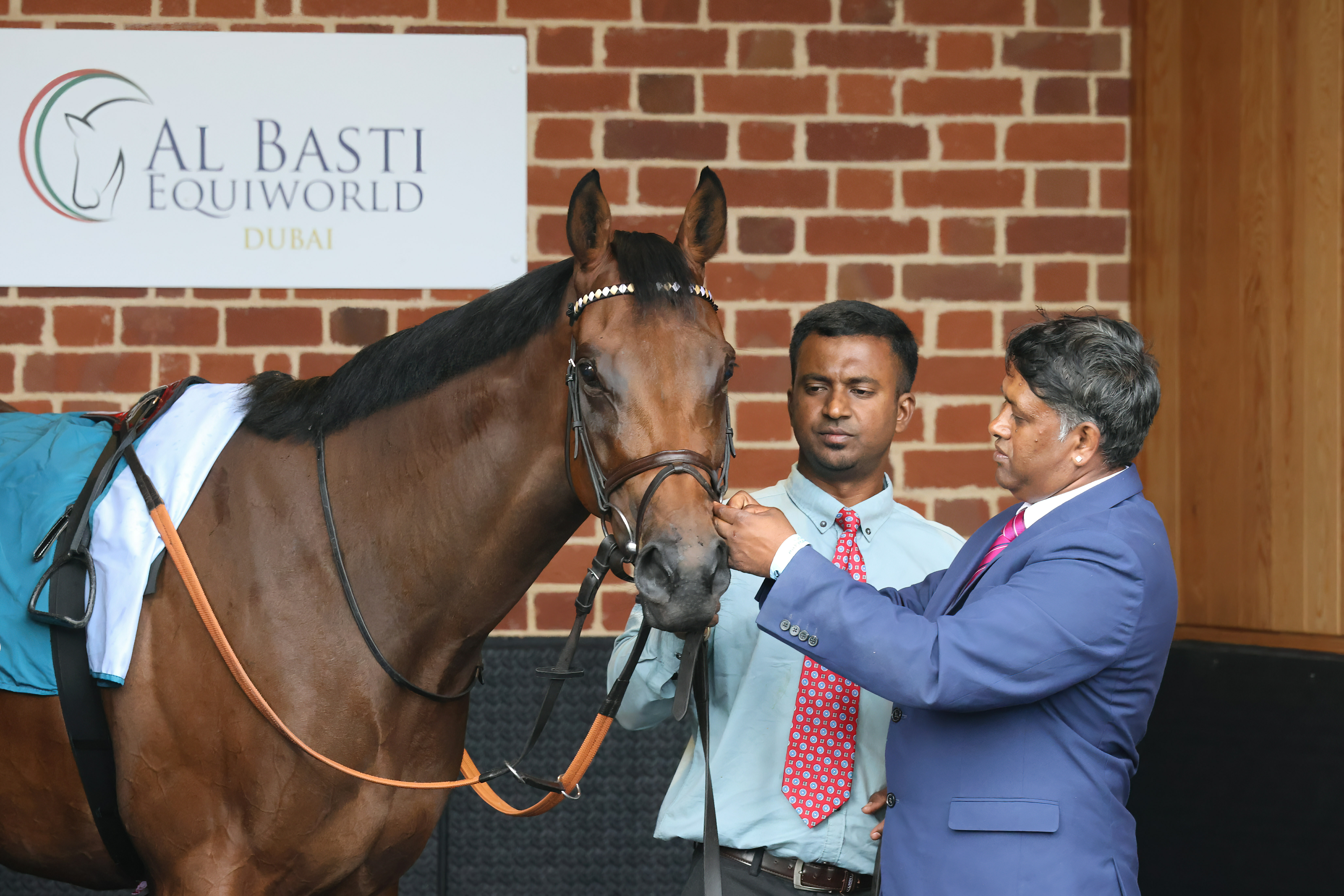 The Evolution of Horse Racing: From Ancient Times to the Modern Sport