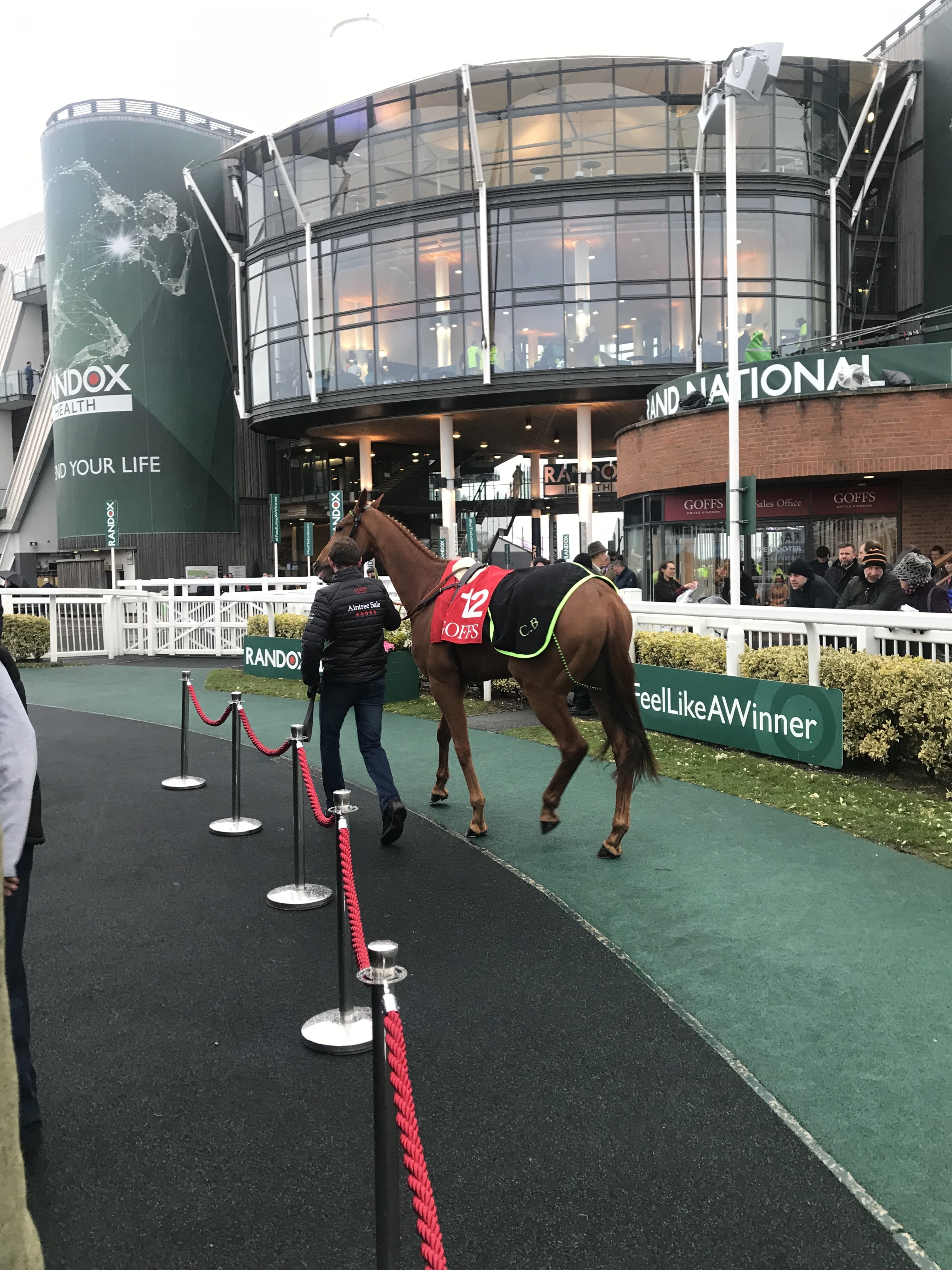 The Grand National in-depth 2026