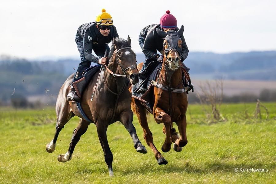 The season is hotting up!