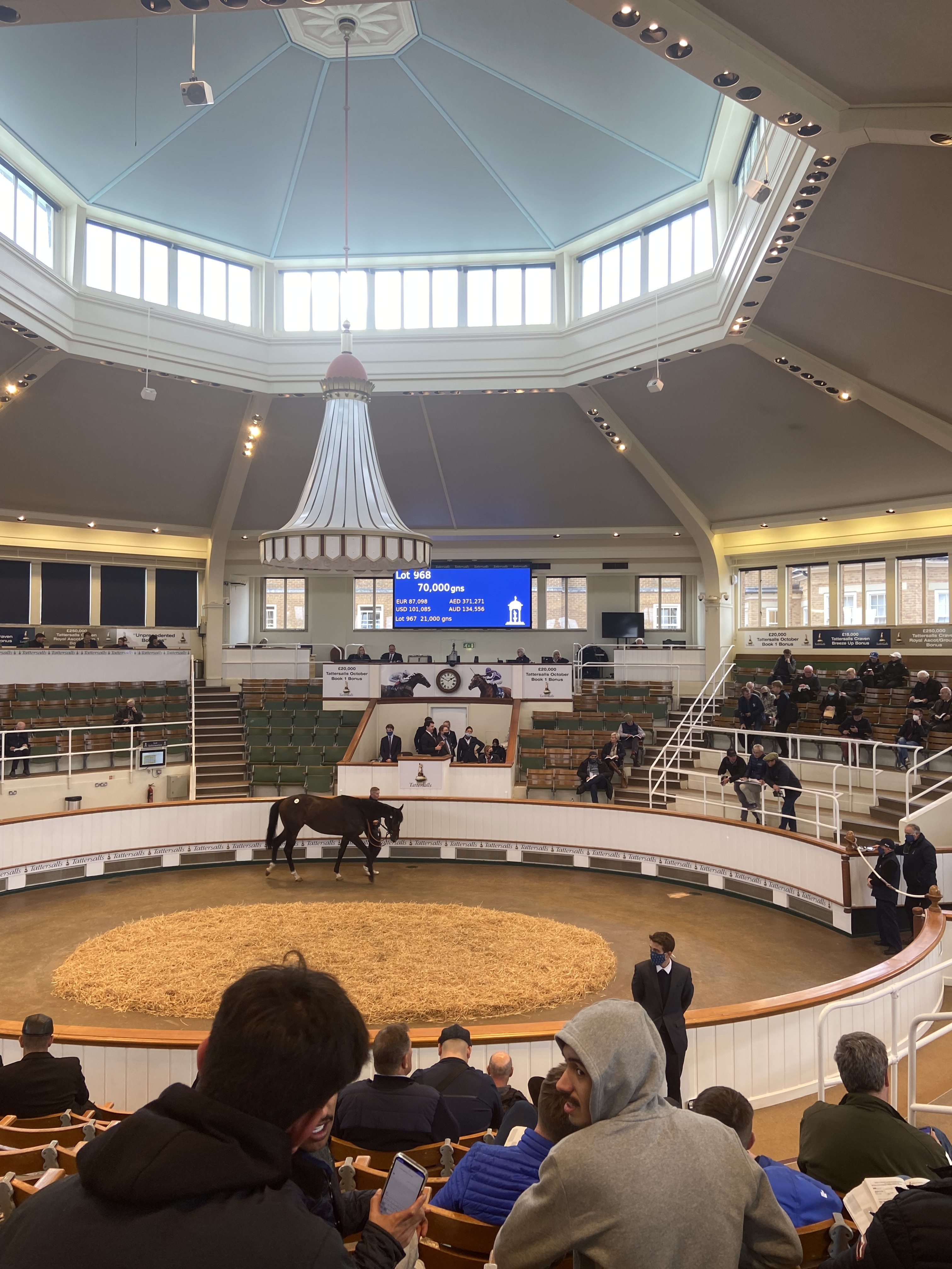 The Yearling Sales Season is Upon Us