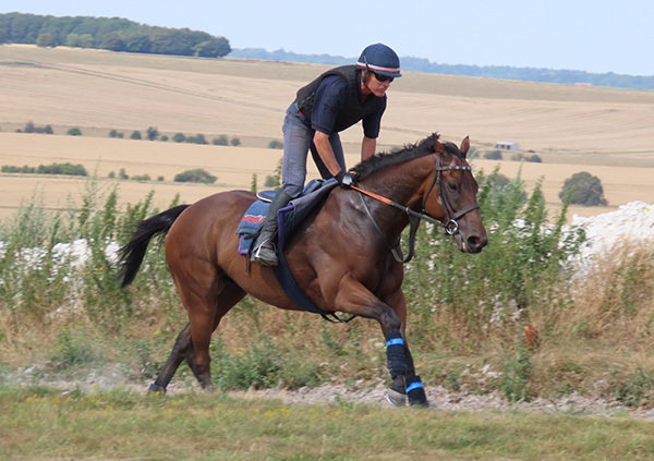 Three RaceShare runners in action this weekend