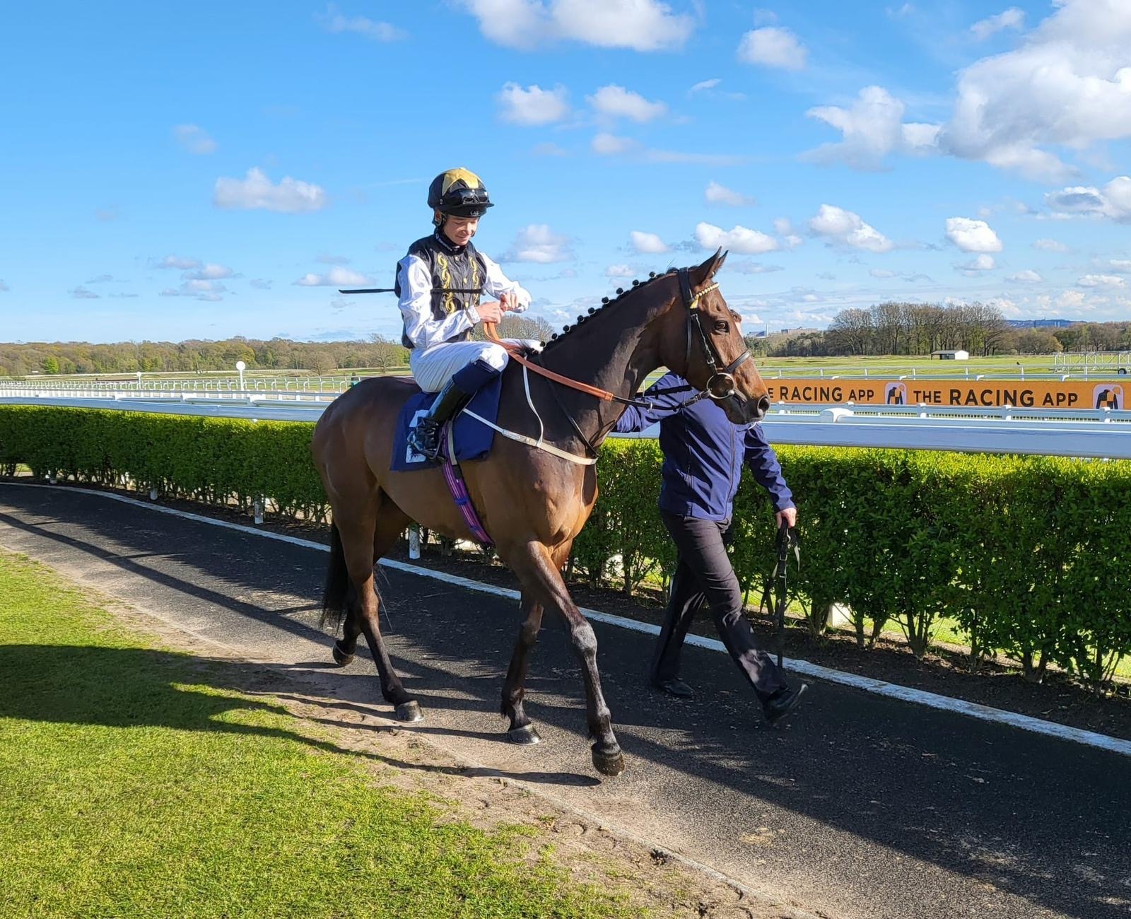 Treasure Time and La Pulga head to Newcastle on Sunday!