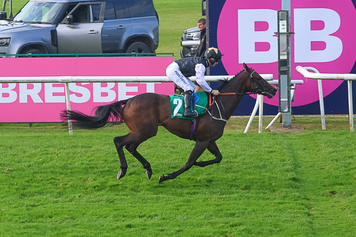 Treasure Time leads a big week for RaceShare